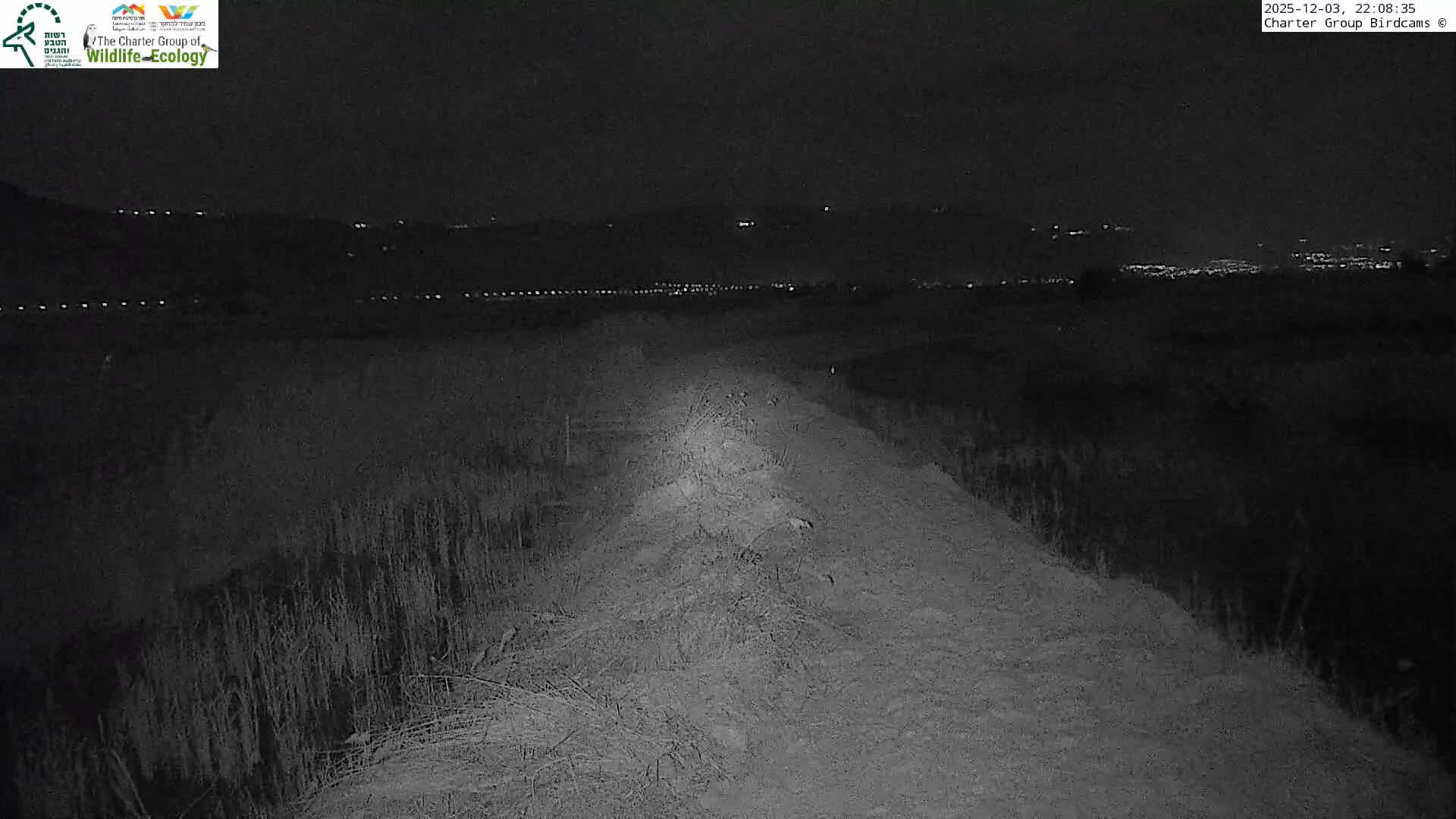 Israel-Syria Border Animal Life, Golan Hills & (Mount Hermon)/Jabal al Shaykh View from Hula Nature Reserve Live Cam - Yesud Hamaala, Northern, Israel