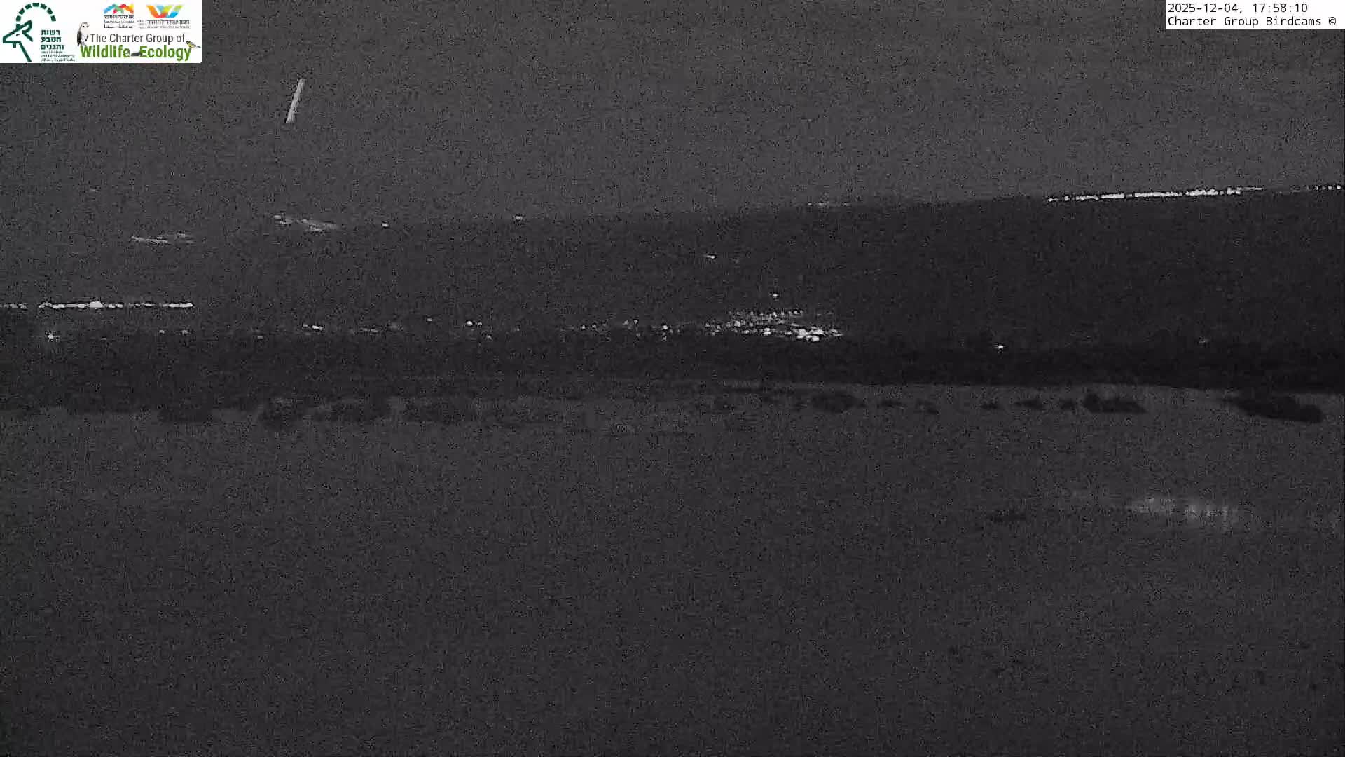 Israel-Syria Border Animal Life, Golan Hills & (Mount Hermon)/Jabal al Shaykh View from Hula Nature Reserve Live Cam - Yesud Hamaala, Northern, Israel