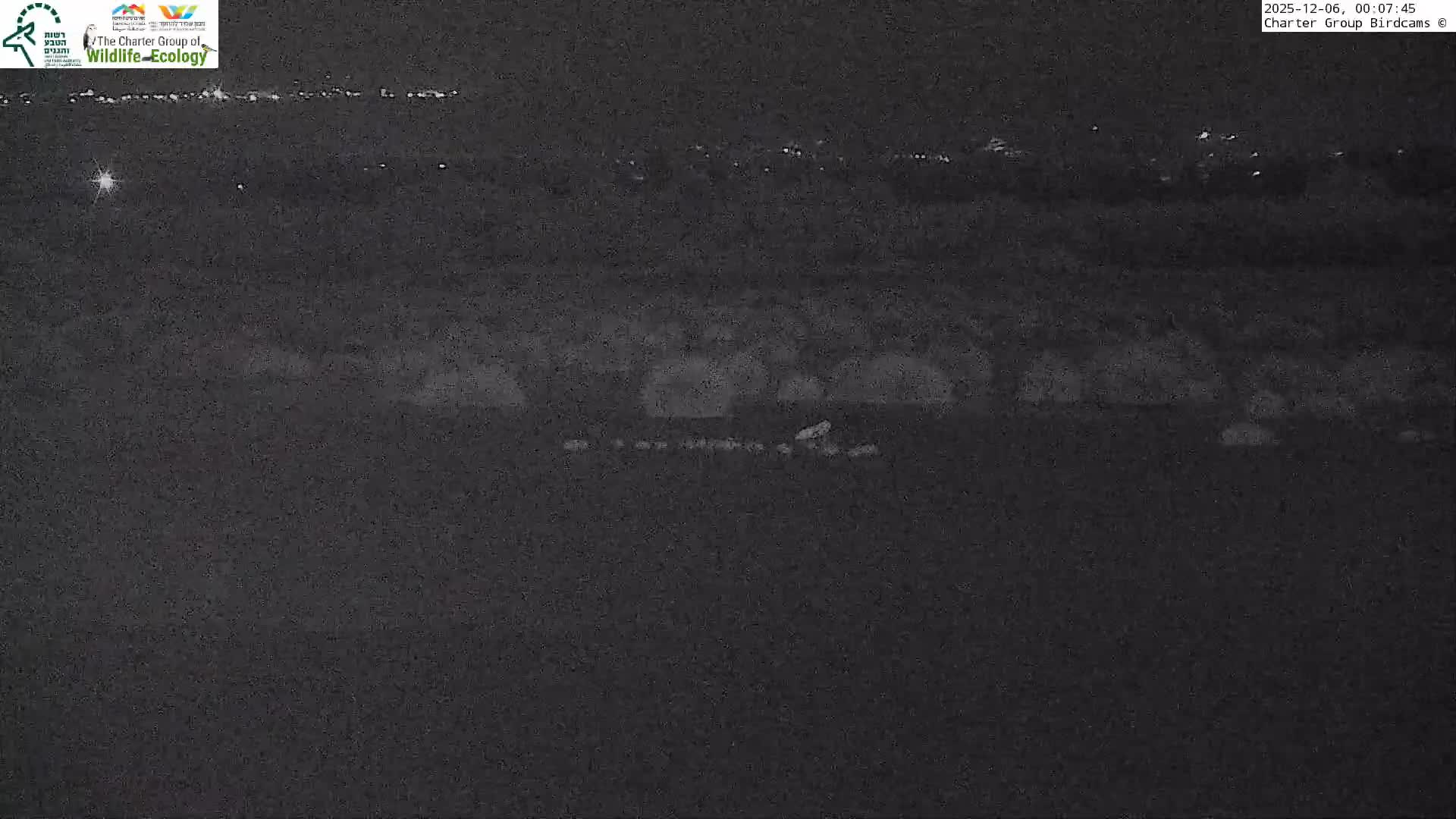 Israel-Syria Border Animal Life, Golan Hills & (Mount Hermon)/Jabal al Shaykh View from Hula Nature Reserve Live Cam - Yesud Hamaala, Northern, Israel