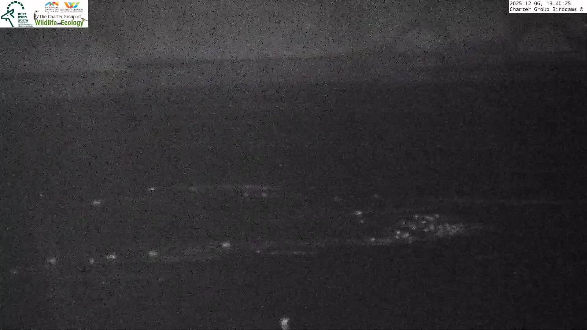 Israel-Syria Border Animal Life, Golan Hills & (Mount Hermon)/Jabal al Shaykh View from Hula Nature Reserve Live Cam - Yesud Hamaala, Northern, Israel