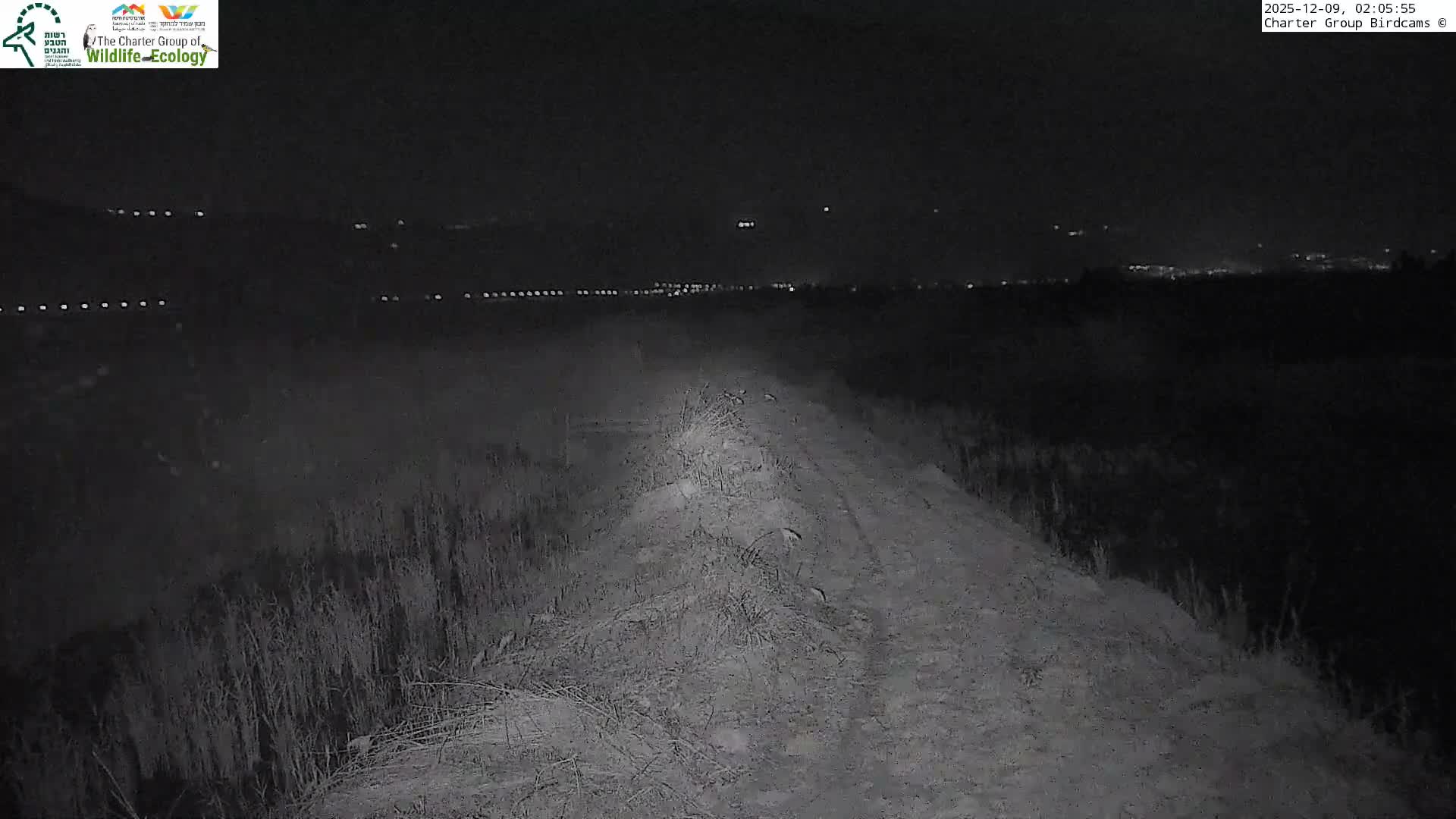 Israel-Syria Border Animal Life, Golan Hills & (Mount Hermon)/Jabal al Shaykh View from Hula Nature Reserve Live Cam - Yesud Hamaala, Northern, Israel