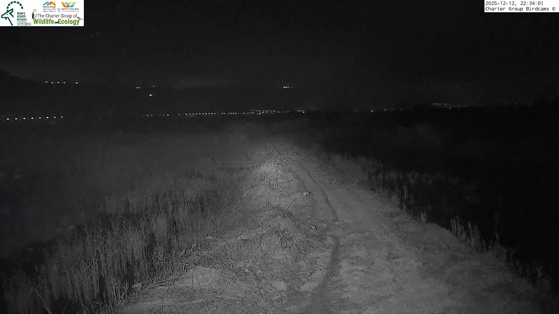 Israel-Syria Border Animal Life, Golan Hills & (Mount Hermon)/Jabal al Shaykh View from Hula Nature Reserve Live Cam - Yesud Hamaala, Northern, Israel