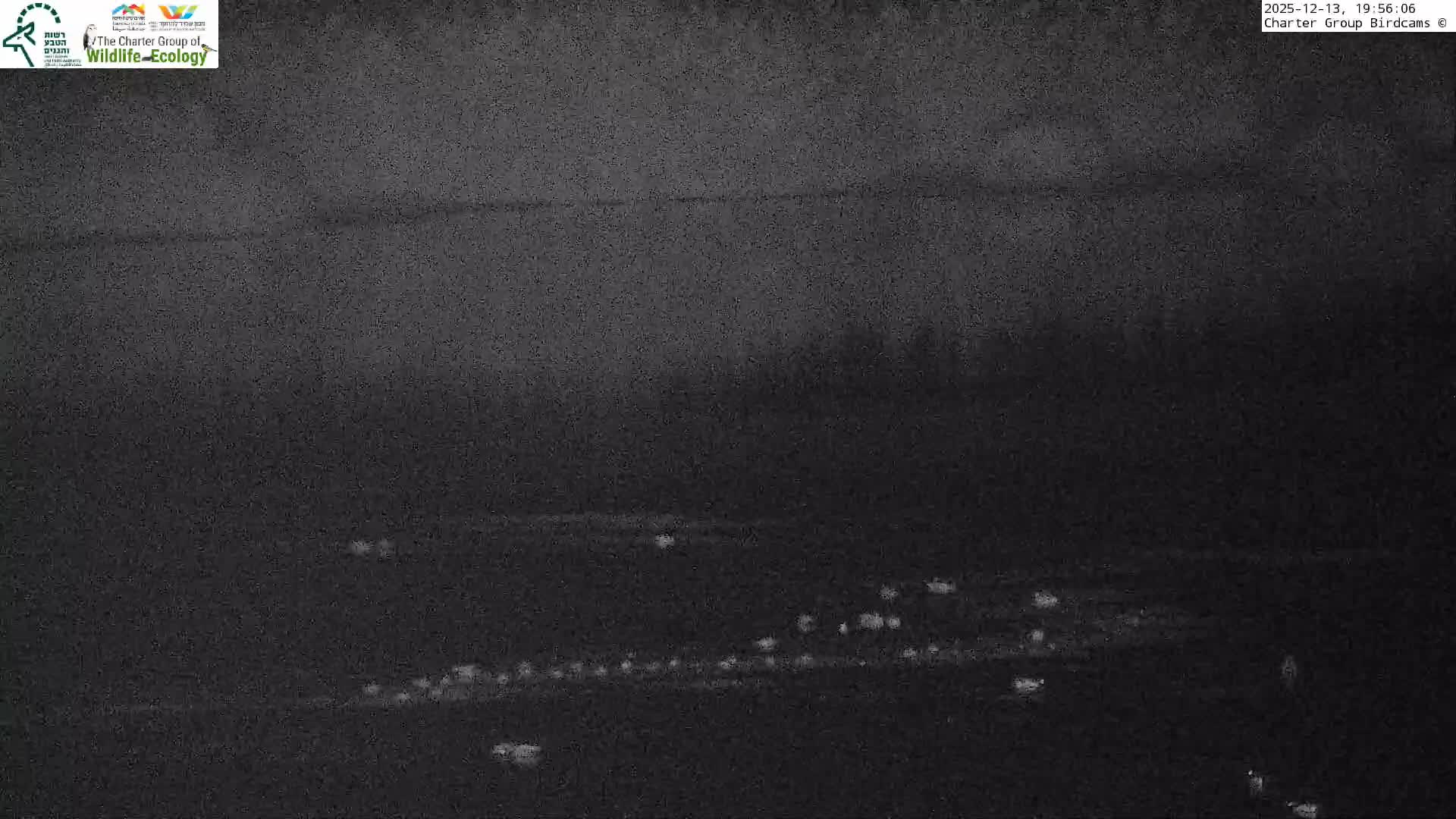 Israel-Syria Border Animal Life, Golan Hills & (Mount Hermon)/Jabal al Shaykh View from Hula Nature Reserve Live Cam - Yesud Hamaala, Northern, Israel