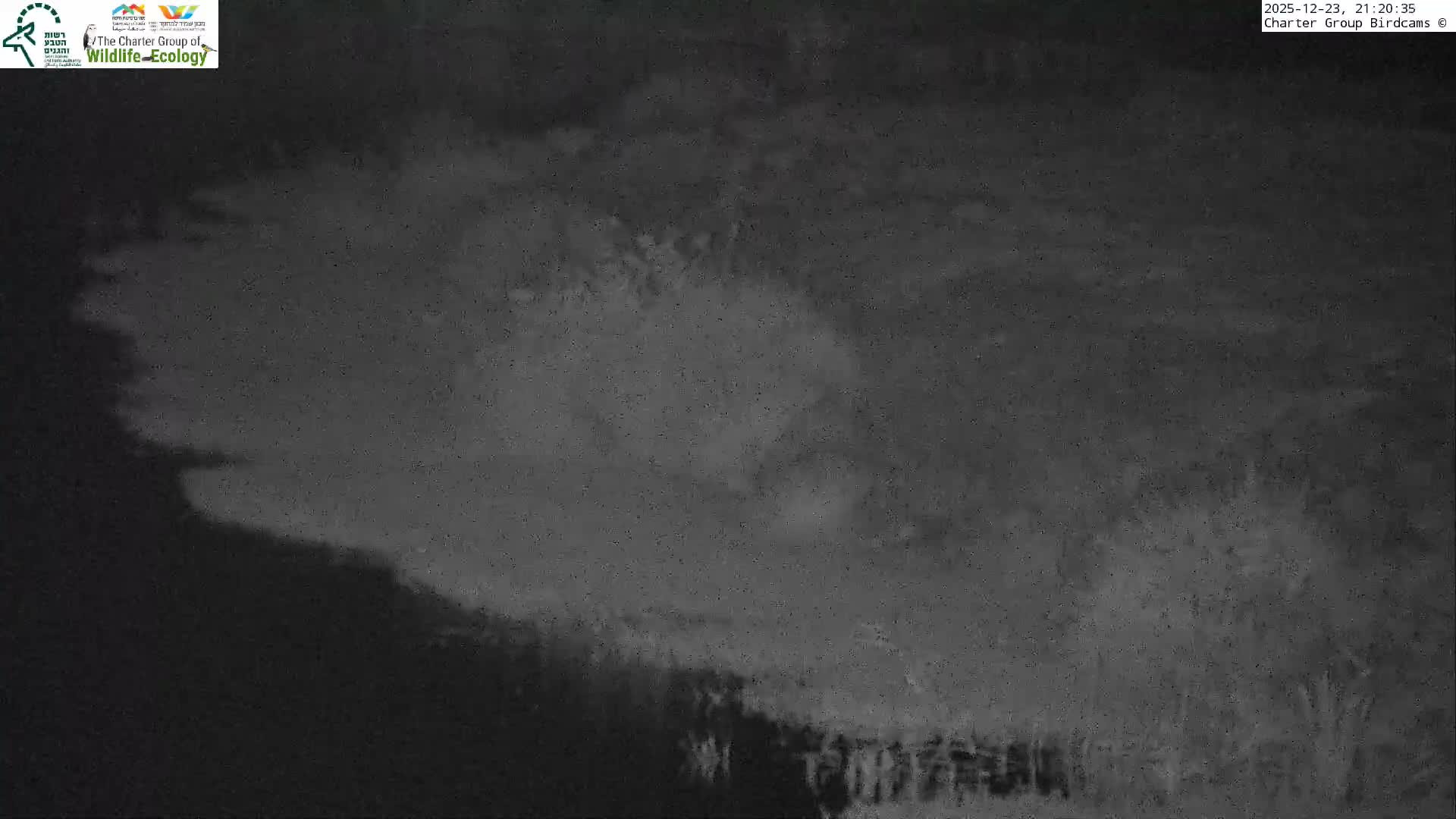 Israel-Syria Border Animal Life, Golan Hills & (Mount Hermon)/Jabal al Shaykh View from Hula Nature Reserve Live Cam - Yesud Hamaala, Northern, Israel