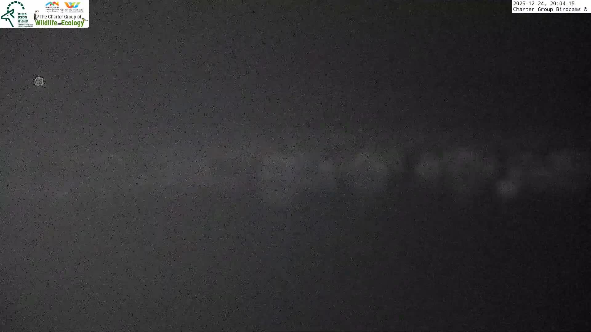 Israel-Syria Border Animal Life, Golan Hills & (Mount Hermon)/Jabal al Shaykh View from Hula Nature Reserve Live Cam - Yesud Hamaala, Northern, Israel