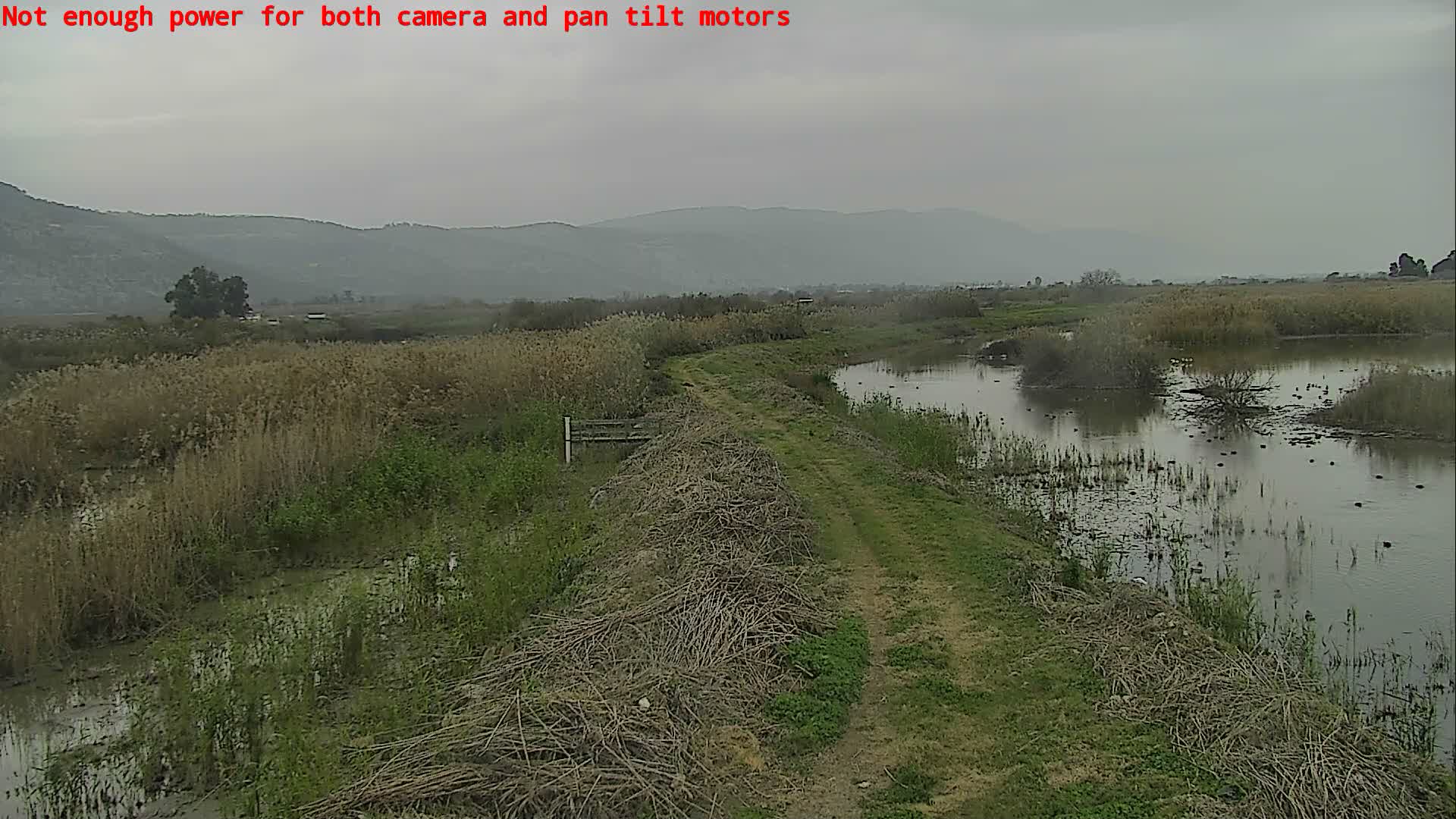 Israel-Syria Border Animal Life, Golan Hills & (Mount Hermon)/Jabal al Shaykh View from Hula Nature Reserve Live Cam - Yesud Hamaala, Northern, Israel