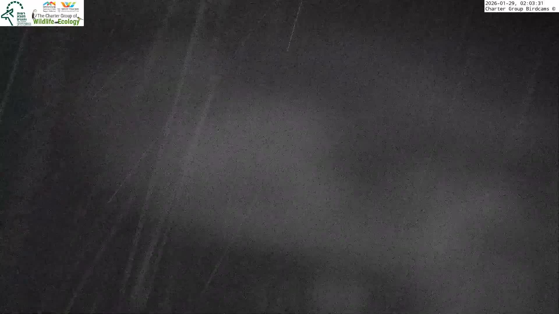 Israel-Syria Border Animal Life, Golan Hills & (Mount Hermon)/Jabal al Shaykh View from Hula Nature Reserve Live Cam - Yesud Hamaala, Northern, Israel