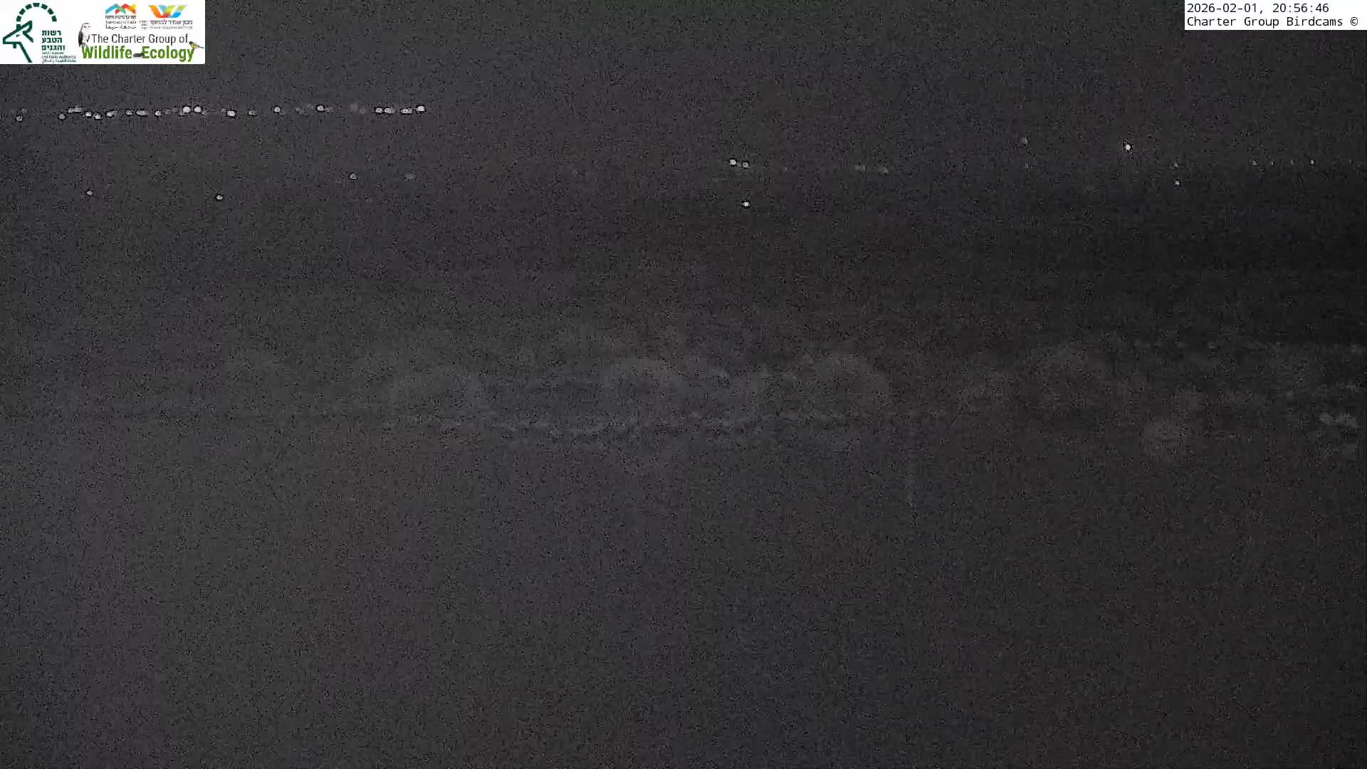 Israel-Syria Border Animal Life, Golan Hills & (Mount Hermon)/Jabal al Shaykh View from Hula Nature Reserve Live Cam - Yesud Hamaala, Northern, Israel