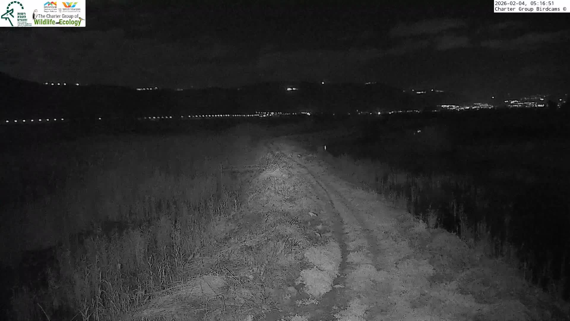 Israel-Syria Border Animal Life, Golan Hills & (Mount Hermon)/Jabal al Shaykh View from Hula Nature Reserve Live Cam - Yesud Hamaala, Northern, Israel