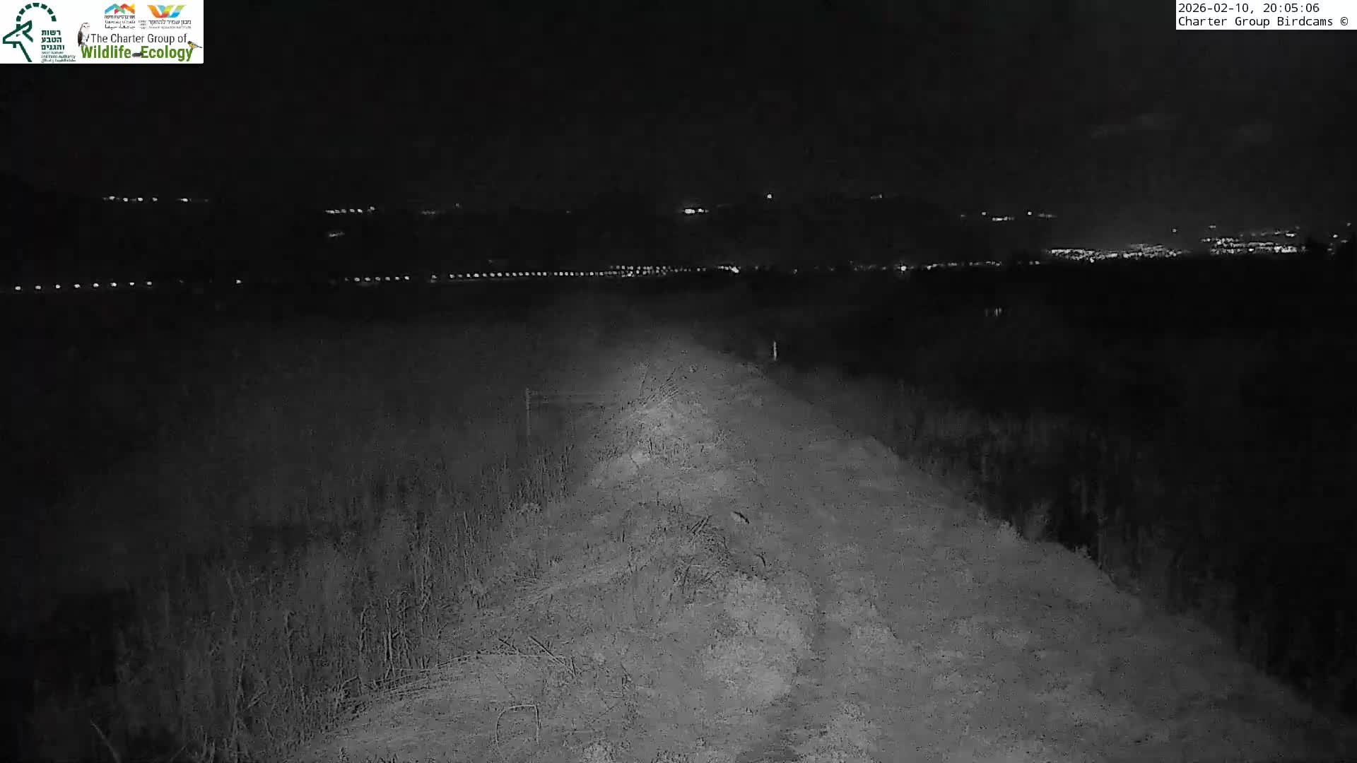 Israel-Syria Border Animal Life, Golan Hills & (Mount Hermon)/Jabal al Shaykh View from Hula Nature Reserve Live Cam - Yesud Hamaala, Northern, Israel