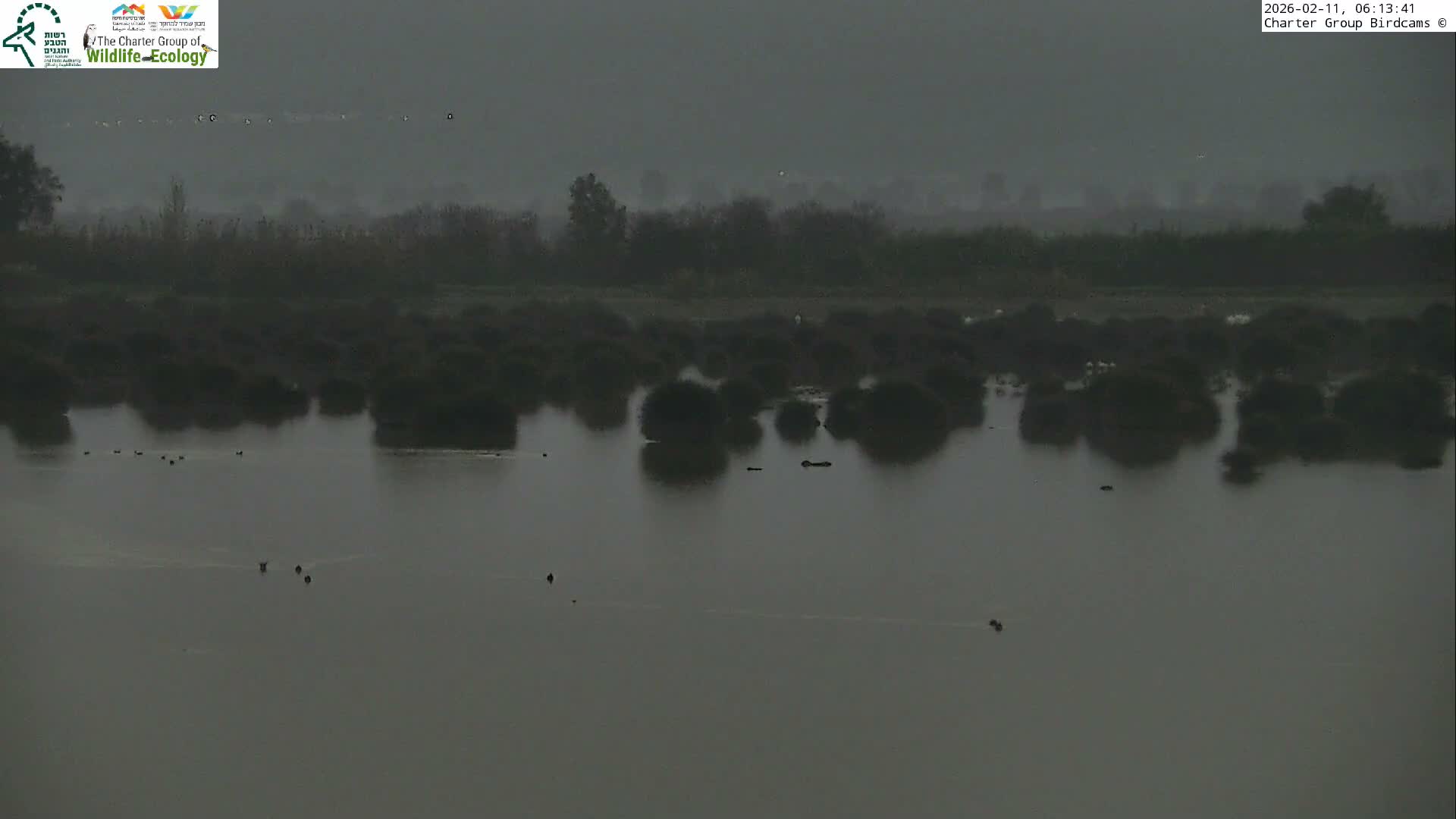 Israel-Syria Border Animal Life, Golan Hills & (Mount Hermon)/Jabal al Shaykh View from Hula Nature Reserve Live Cam - Yesud Hamaala, Northern, Israel