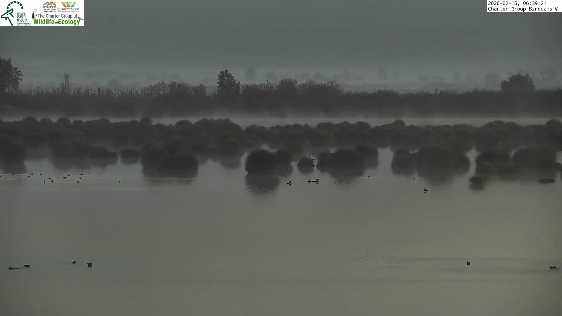 Israel-Syria Border Animal Life, Golan Hills & (Mount Hermon)/Jabal al Shaykh View from Hula Nature Reserve Live Cam - Yesud Hamaala, Northern, Israel