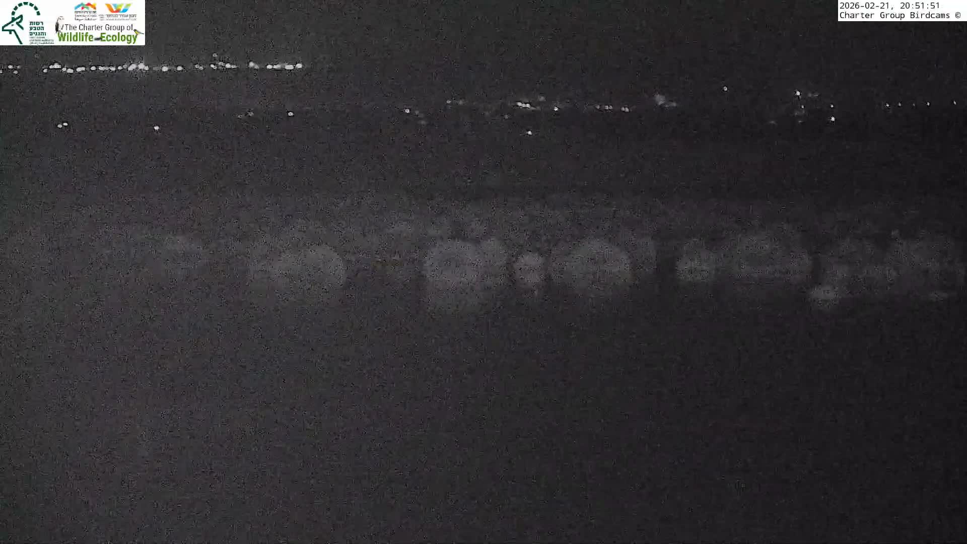 Israel-Syria Border Animal Life, Golan Hills & (Mount Hermon)/Jabal al Shaykh View from Hula Nature Reserve Live Cam - Yesud Hamaala, Northern, Israel