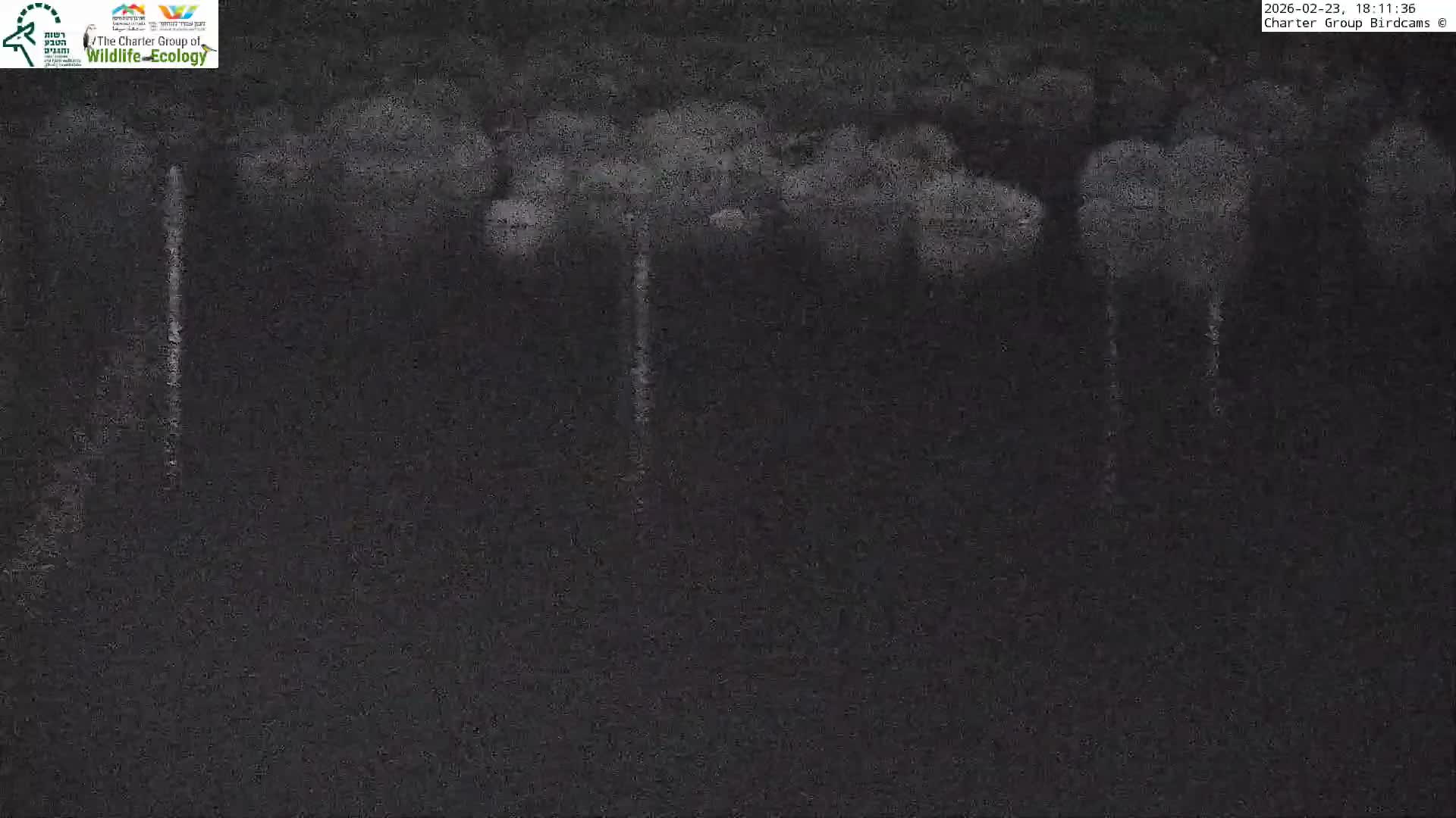 Israel-Syria Border Animal Life, Golan Hills & (Mount Hermon)/Jabal al Shaykh View from Hula Nature Reserve Live Cam - Yesud Hamaala, Northern, Israel