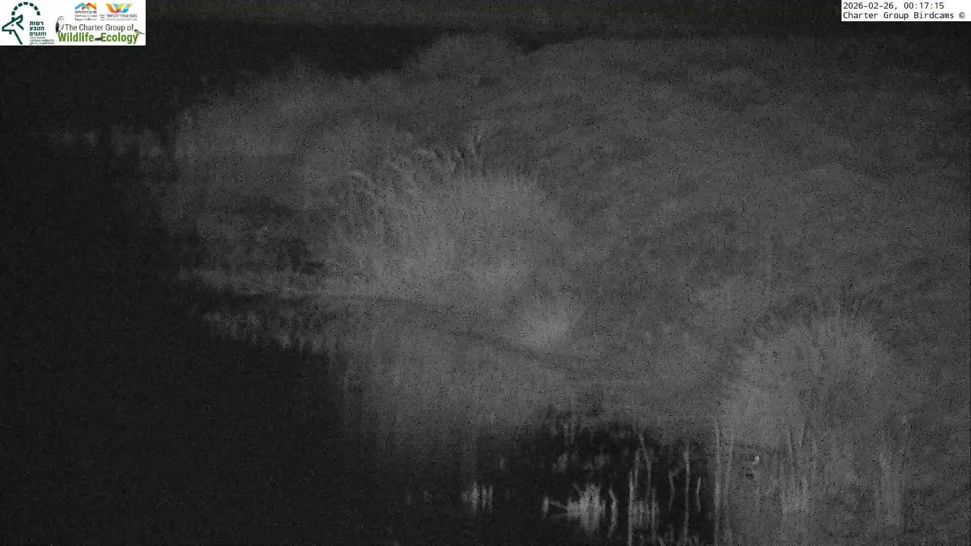 Israel-Syria Border Animal Life, Golan Hills & (Mount Hermon)/Jabal al Shaykh View from Hula Nature Reserve Live Cam - Yesud Hamaala, Northern, Israel