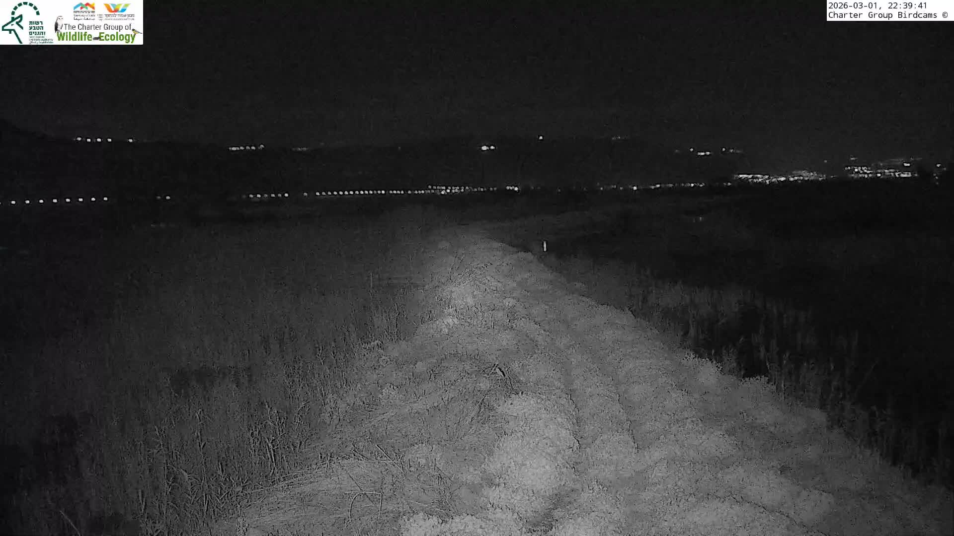 Israel-Syria Border Animal Life, Golan Hills & (Mount Hermon)/Jabal al Shaykh View from Hula Nature Reserve Live Cam - Yesud Hamaala, Northern, Israel