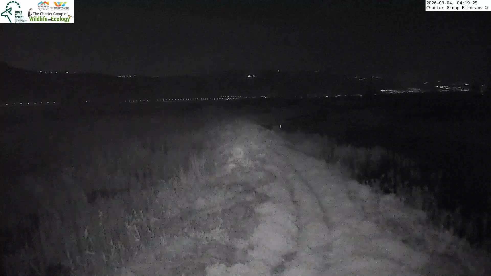 Israel-Syria Border Animal Life, Golan Hills & (Mount Hermon)/Jabal al Shaykh View from Hula Nature Reserve Live Cam - Yesud Hamaala, Northern, Israel