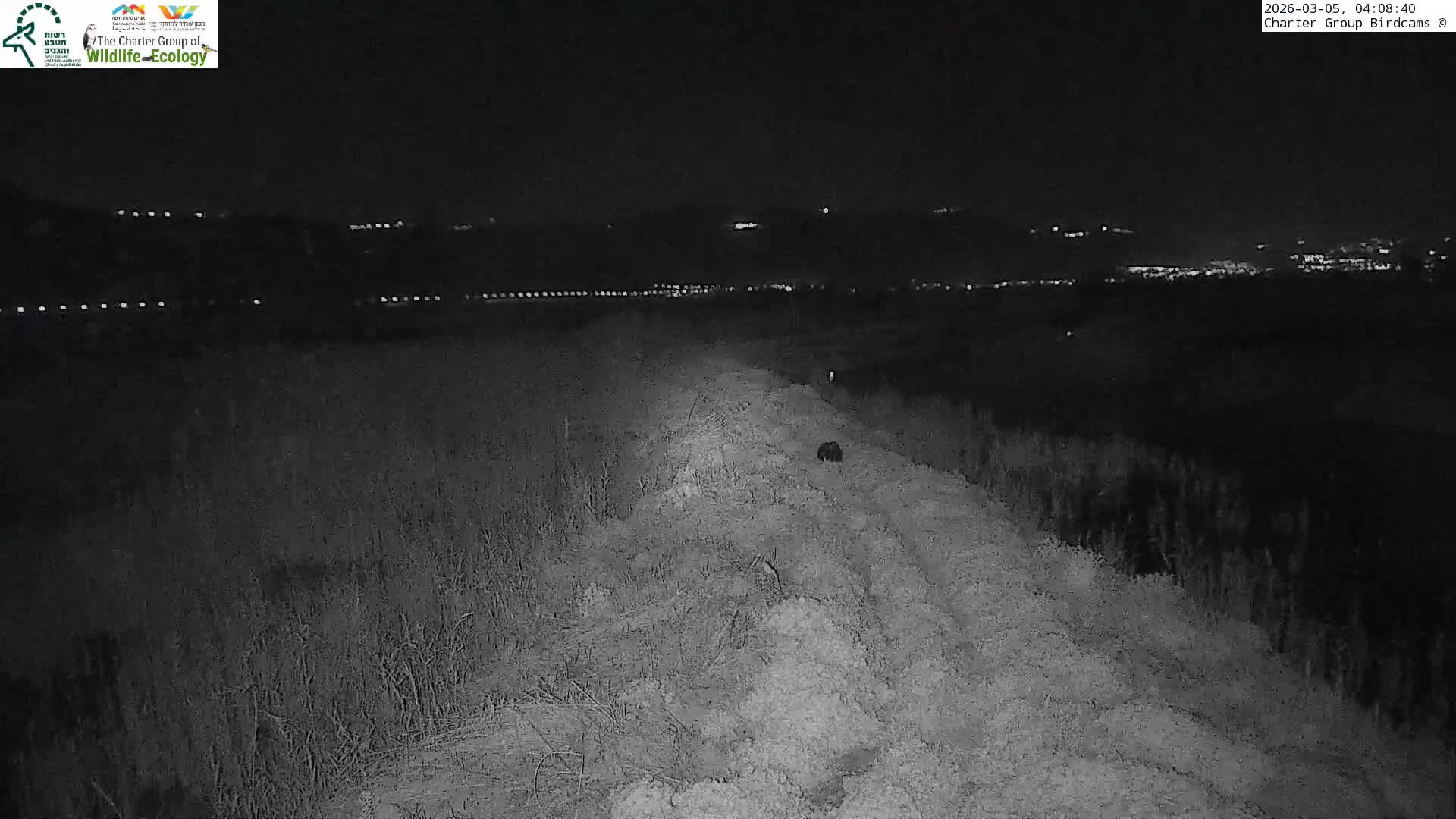 Israel-Syria Border Animal Life, Golan Hills & (Mount Hermon)/Jabal al Shaykh View from Hula Nature Reserve Live Cam - Yesud Hamaala, Northern, Israel