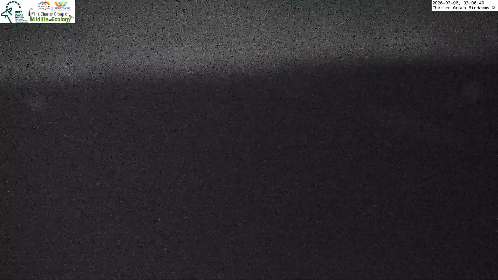 Israel-Syria Border Animal Life, Golan Hills & (Mount Hermon)/Jabal al Shaykh View from Hula Nature Reserve Live Cam - Yesud Hamaala, Northern, Israel