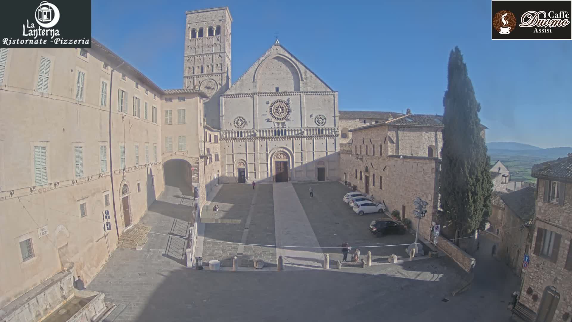 A large stone cathedral stands in a sunny town square, surrounded by historic buildings, with a few cars parked nearby and a tall, slender tree to the right.