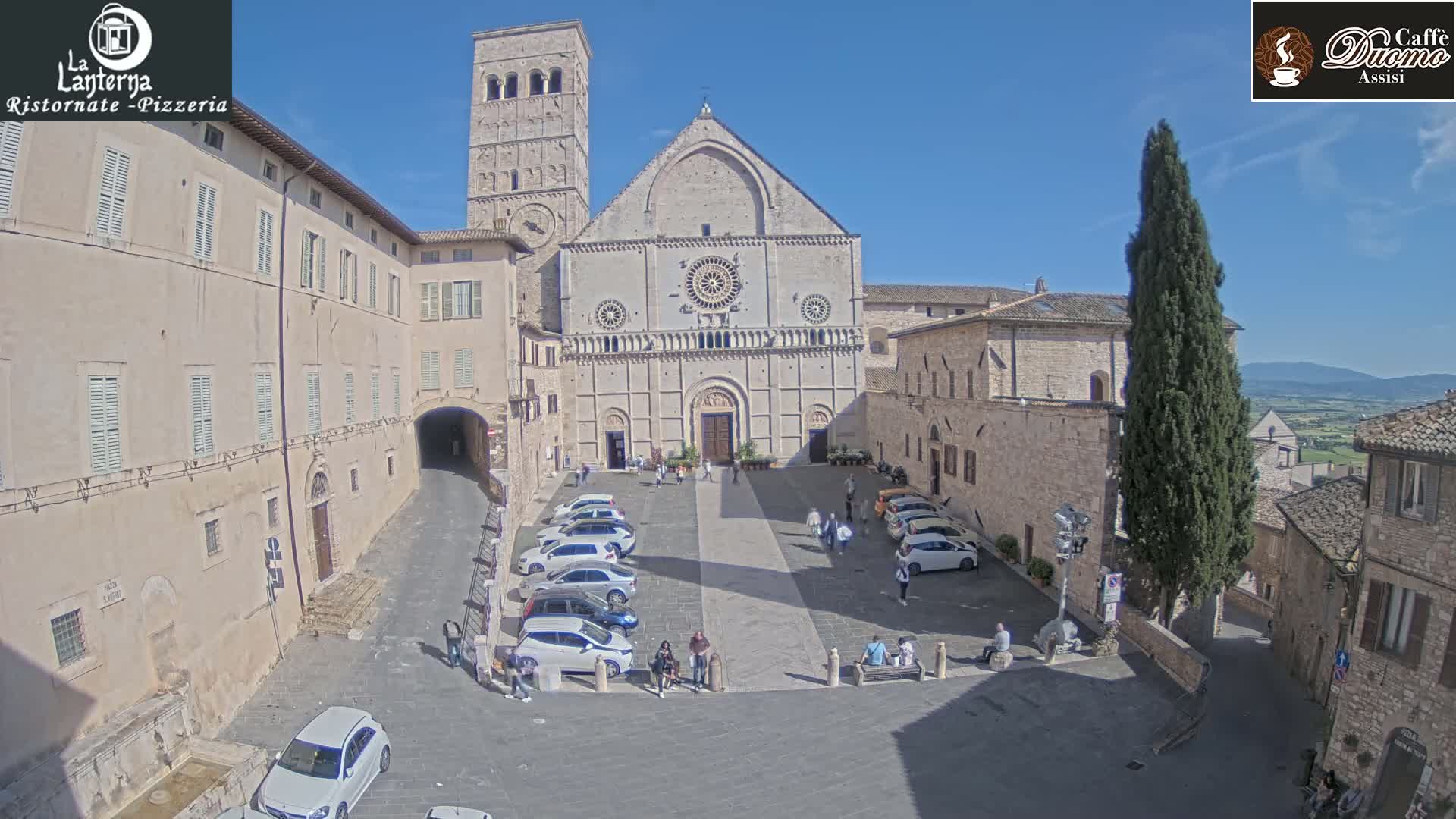 A large stone cathedral sits in a sunny town square, surrounded by buildings and parked cars, with a tall evergreen tree nearby.