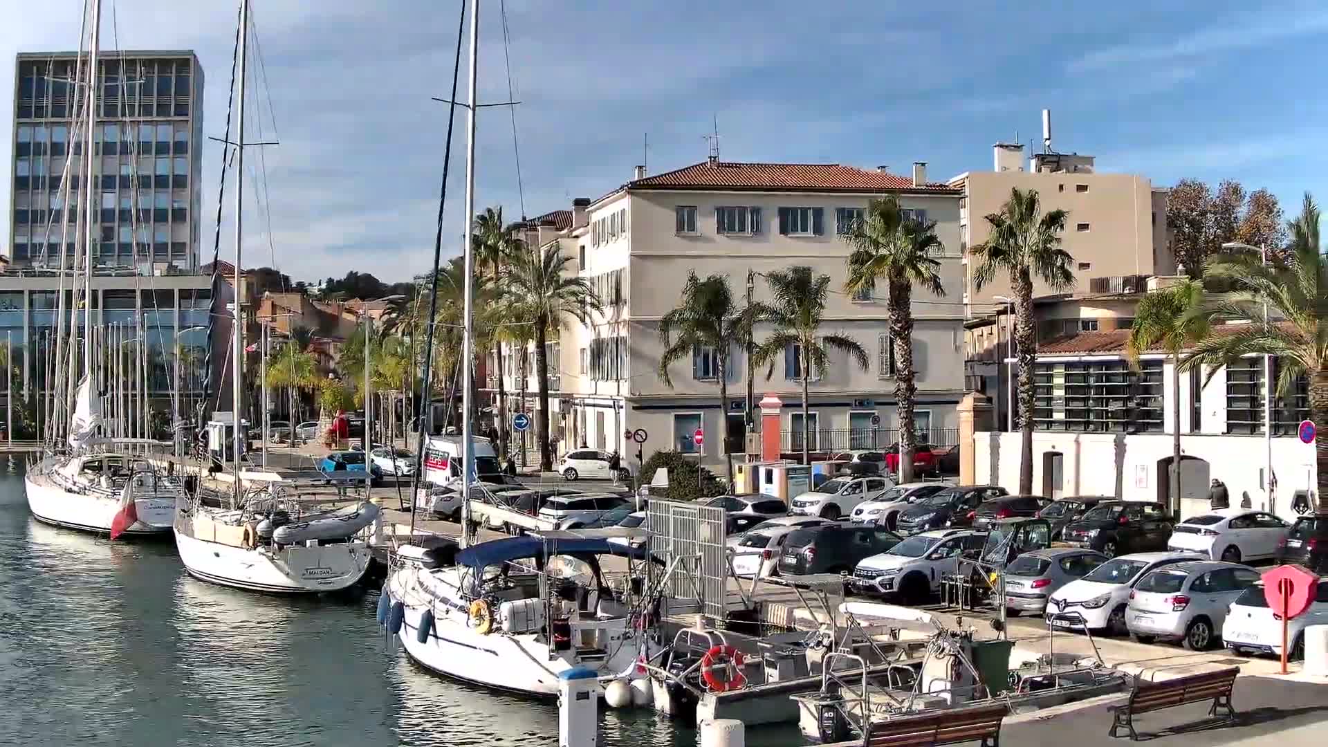 The image captures a sunny day at a bustling marina with numerous sailboats docked in the foreground, backed by a street lined with palm trees and parked cars, and a variety of buildings under a clear blue sky with scattered clouds.