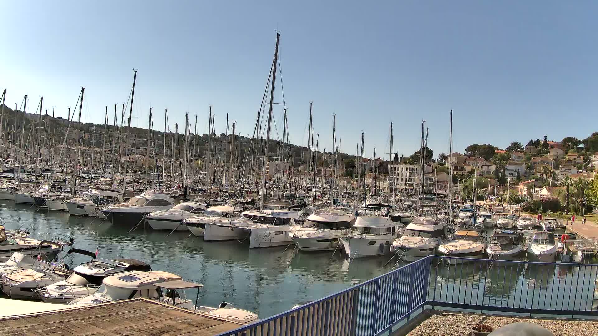 Numerous sailboats and motorboats are docked in a marina on a sunny day, with a hillside of houses visible in the background.
