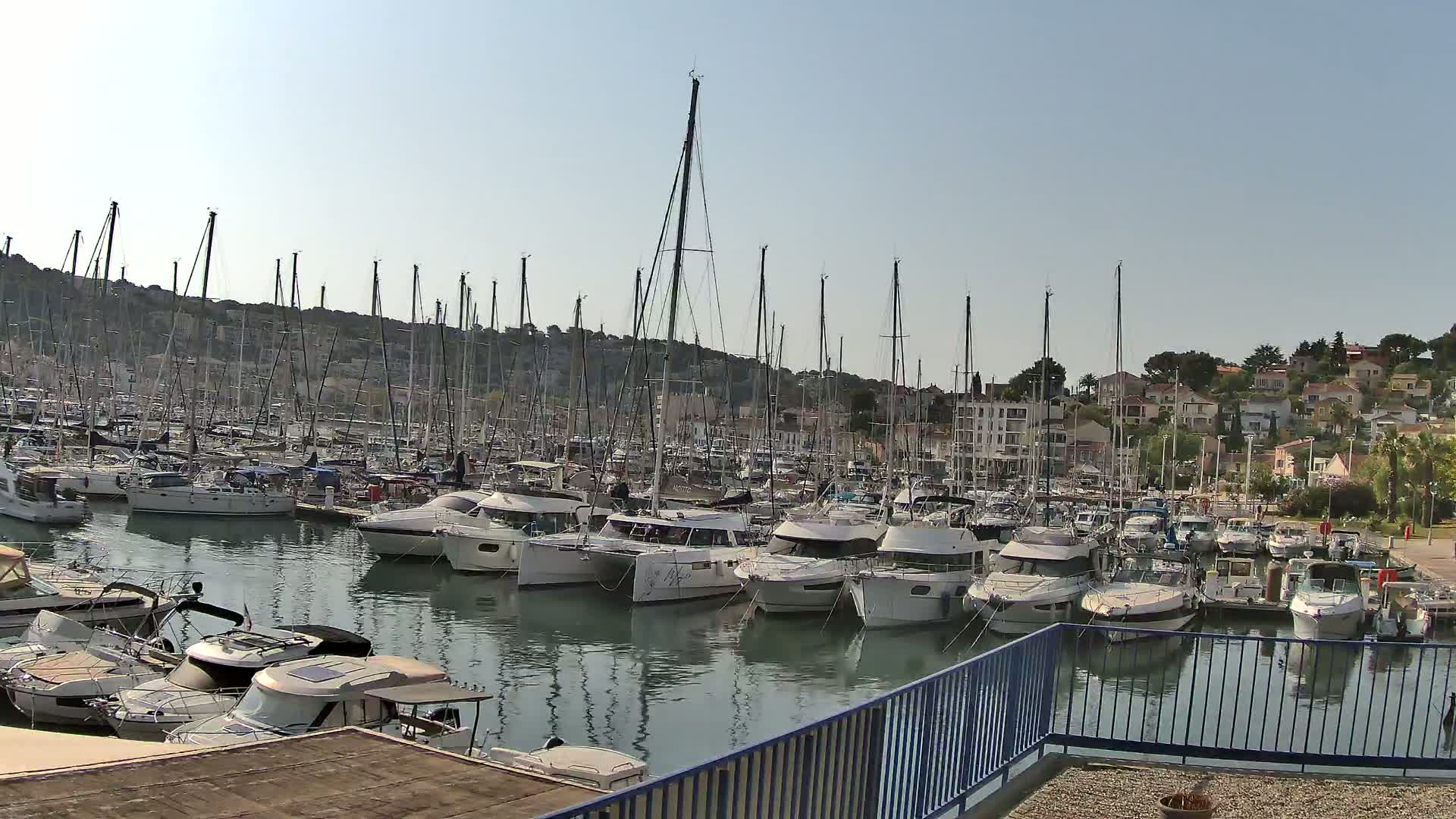 A marina filled with numerous yachts and sailboats is situated on calm water under a clear, sunny sky, with a hillside of buildings visible in the background.
