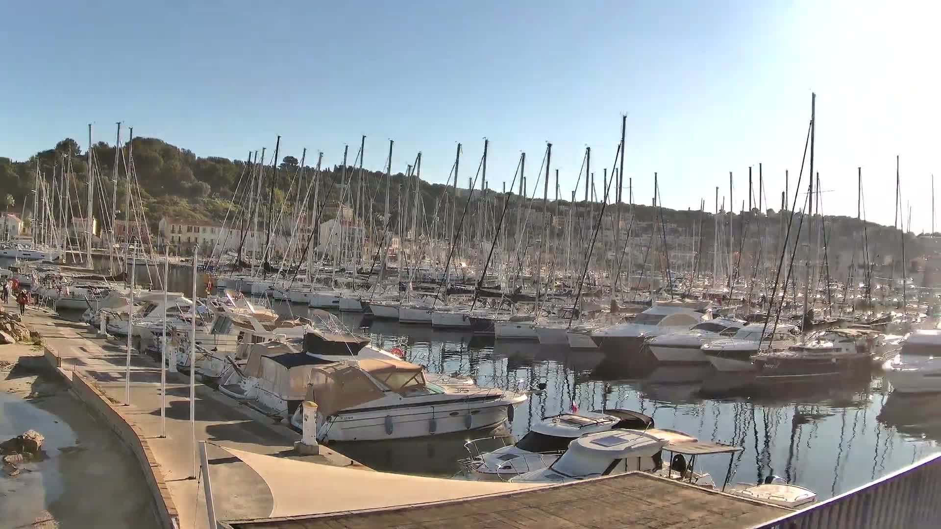 Under a clear blue sky, a bustling marina is filled with numerous sailboats and motorboats, with a waterfront promenade on the left and tree-covered hills displaying scattered buildings in the background.
