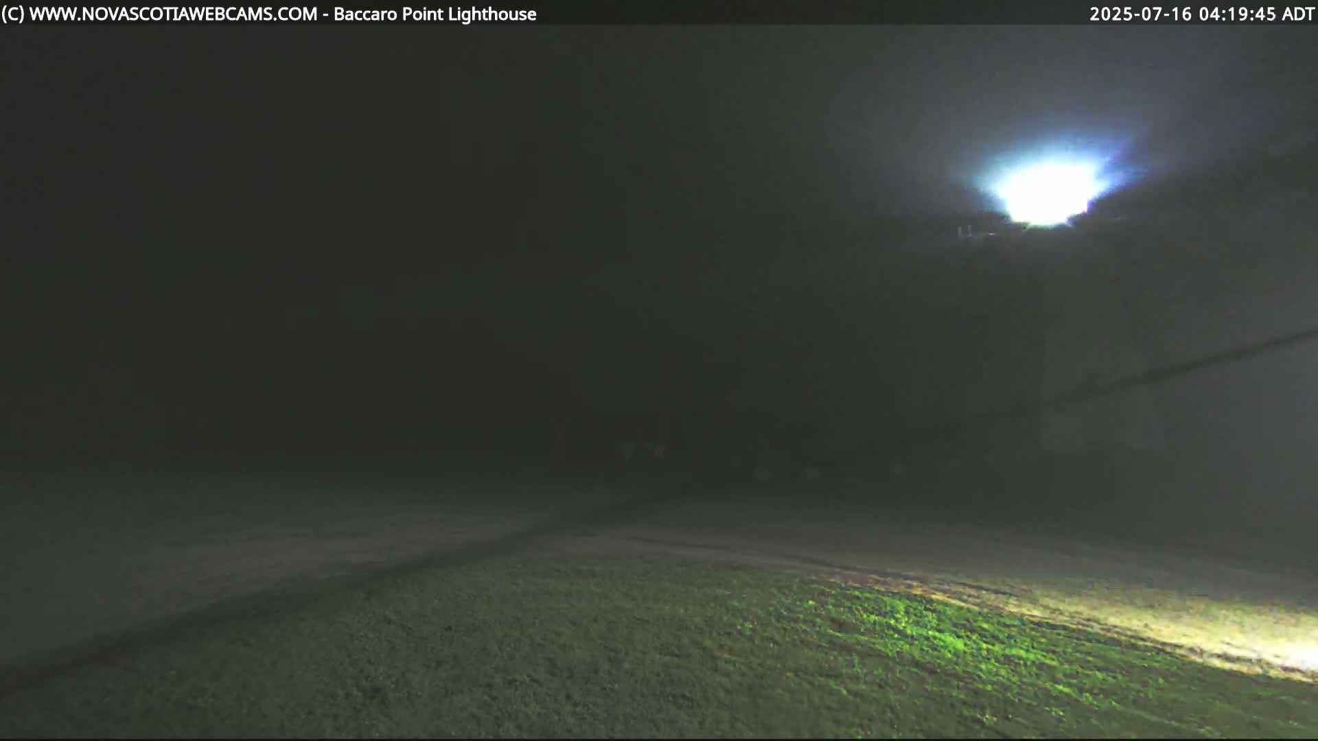 A bright light shines in a dark, foggy landscape at night.
