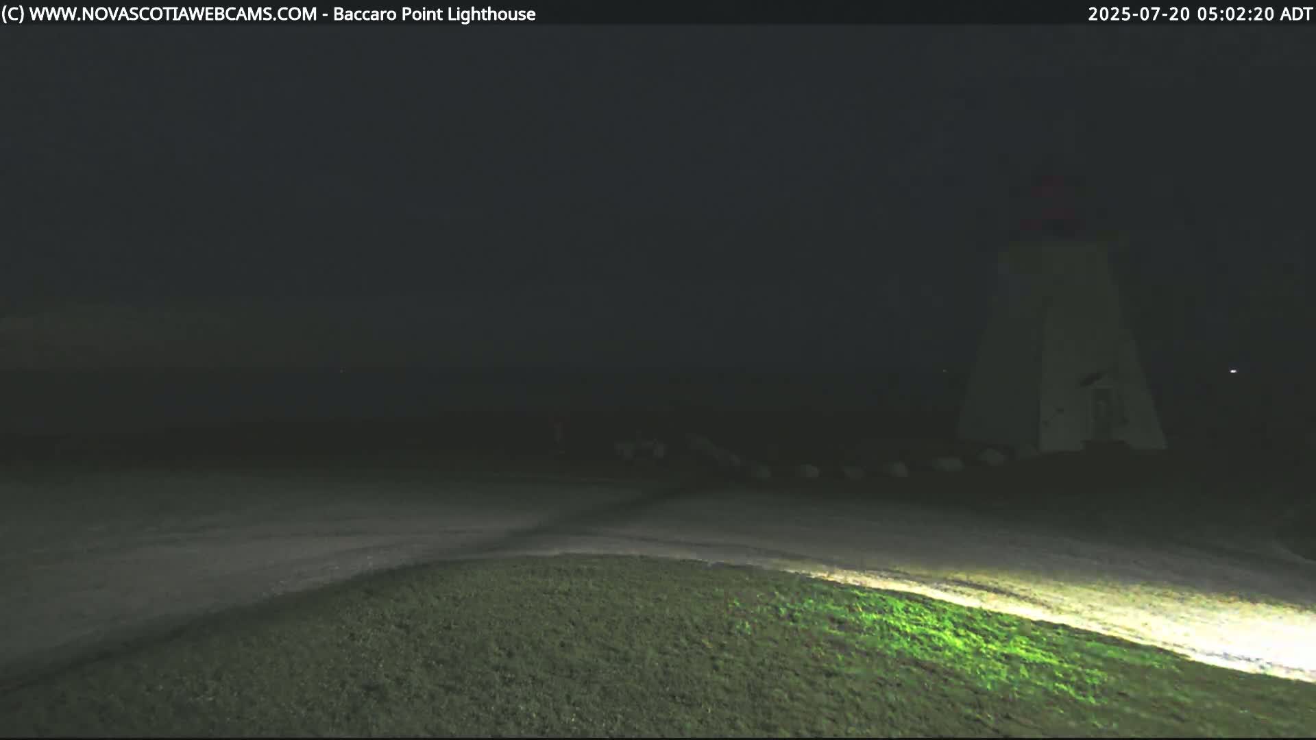 A lighthouse is visible in the distance on a dark, nighttime scene with grassy areas in the foreground.