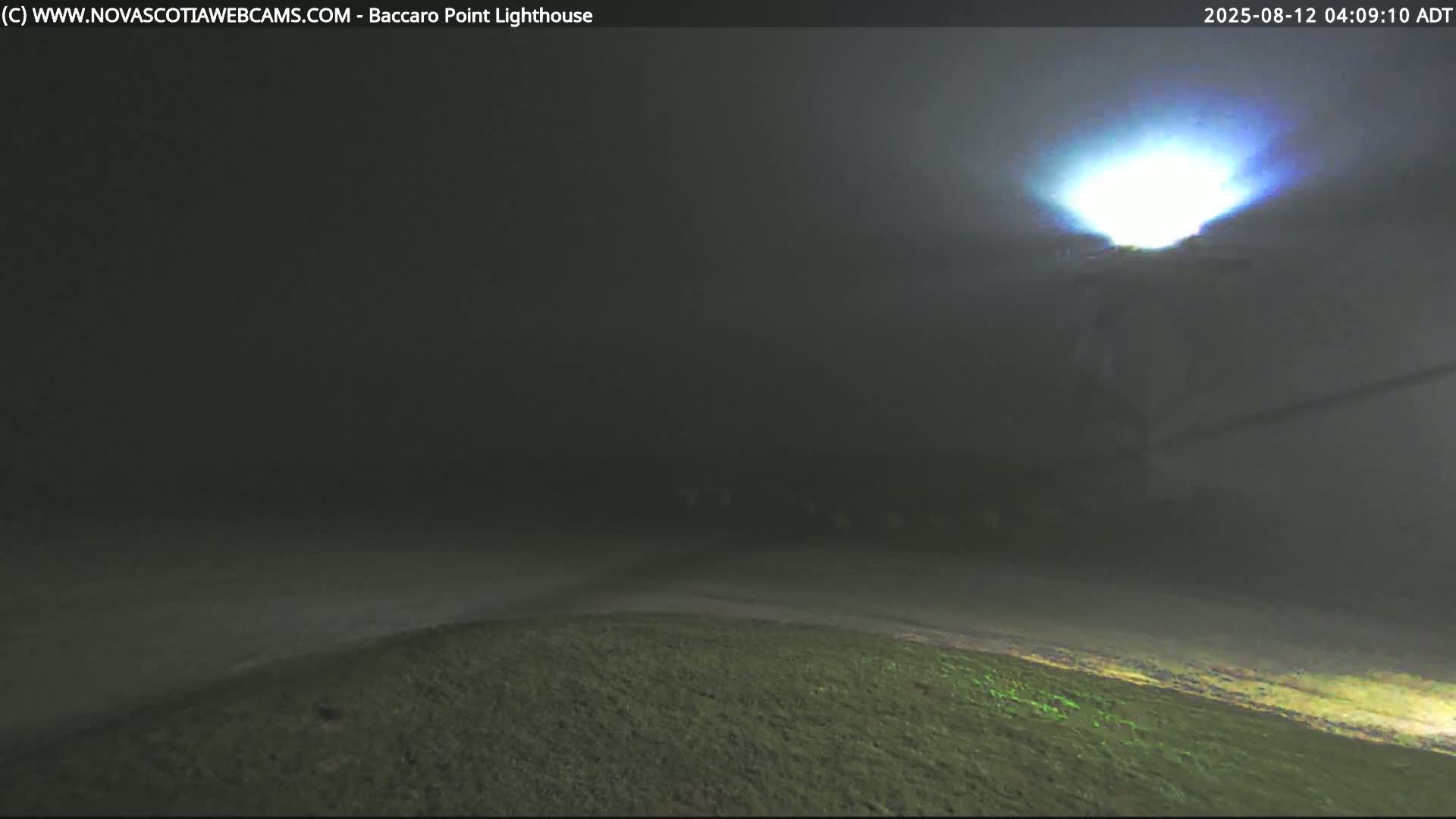 A bright light shines down on a foggy, dark, grassy area at night.
