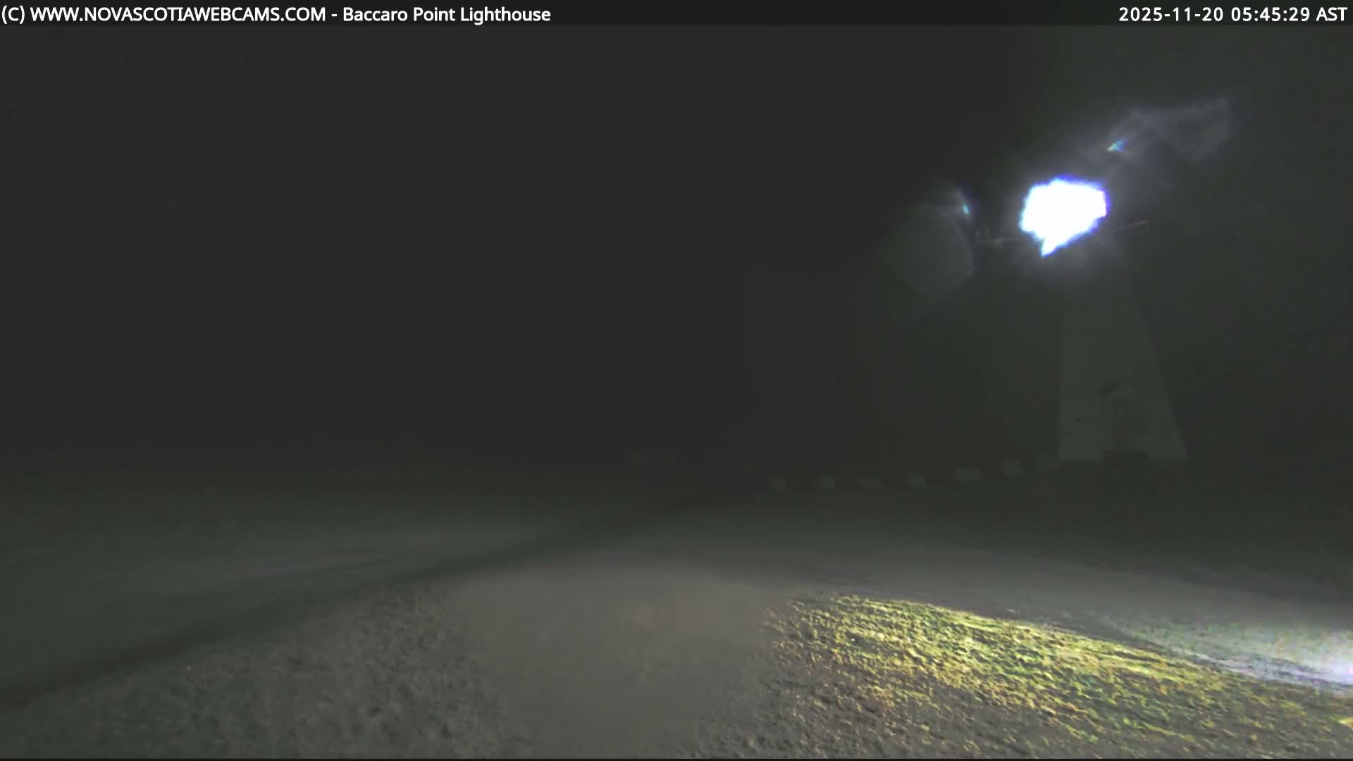 A powerful light from a lighthouse pierces through very dense fog at night, illuminating a section of the ground in the foreground.
