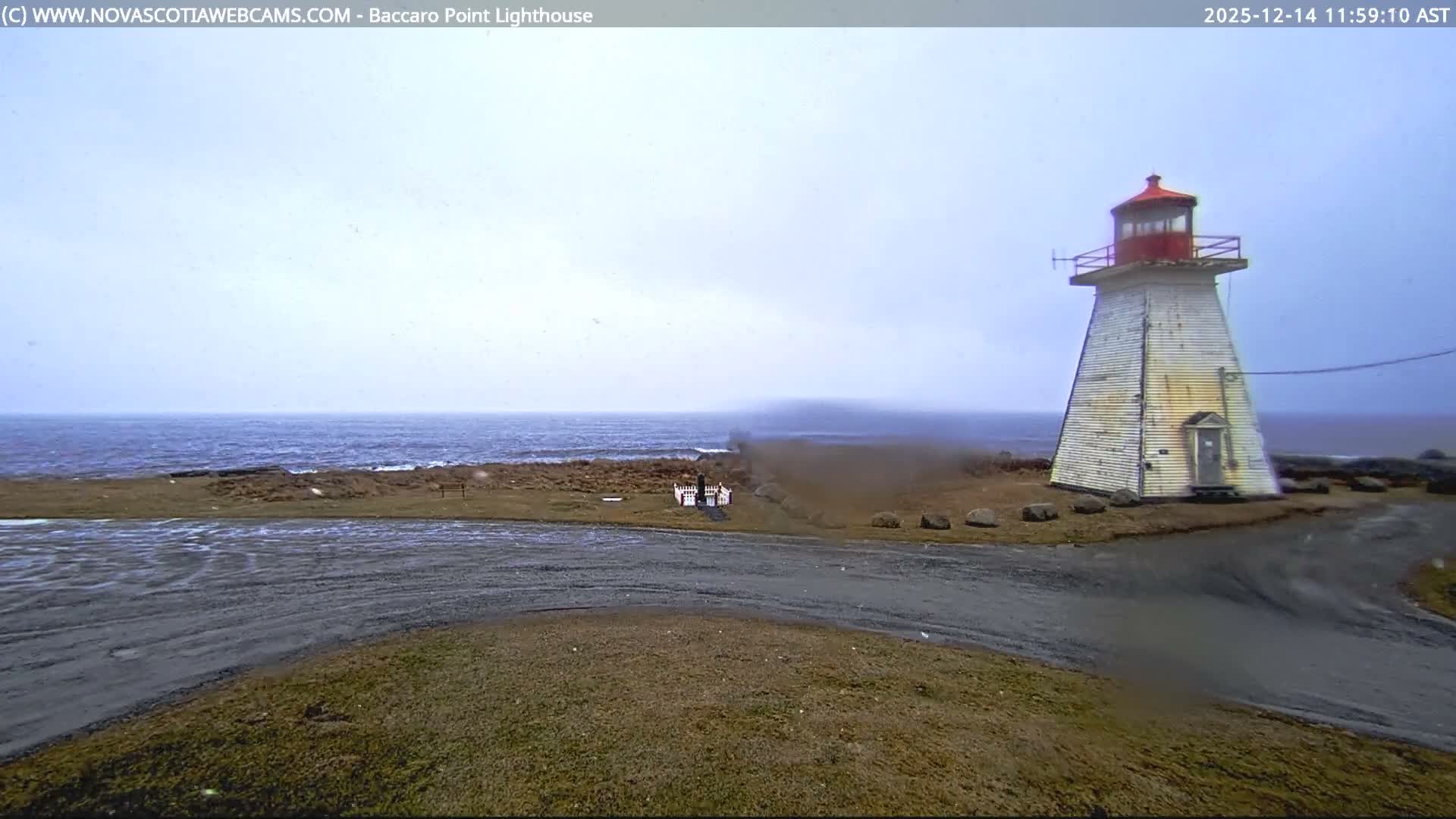 A brightly beaming lighthouse stands against a dark, clear night sky, with a foreground of grass illuminated by a distinct light source.