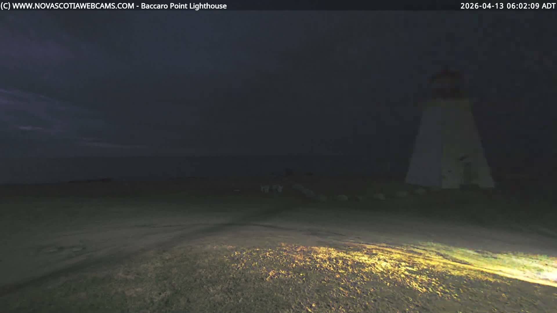 A brightly beaming lighthouse stands against a dark, clear night sky, with a foreground of grass illuminated by a distinct light source.