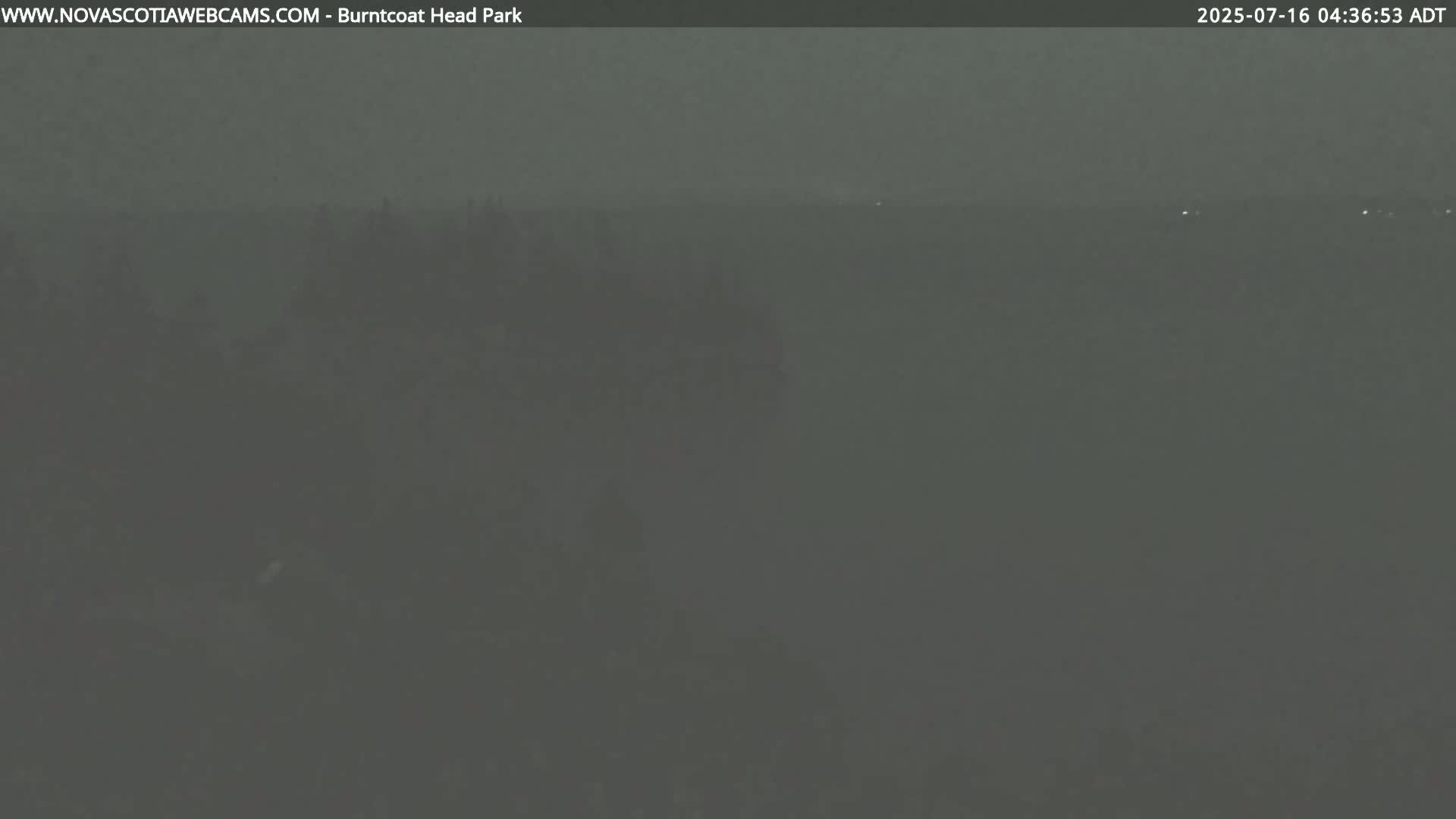 A dark, hazy, outdoor scene shows a flat expanse of land or water under a gray sky.