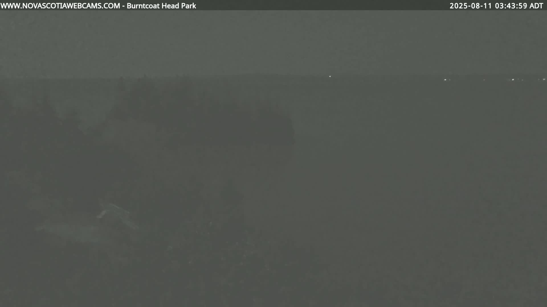 A dark, nighttime outdoor scene shows a hazy, indistinct view of land and possibly water in the distance, with a few faint lights visible.