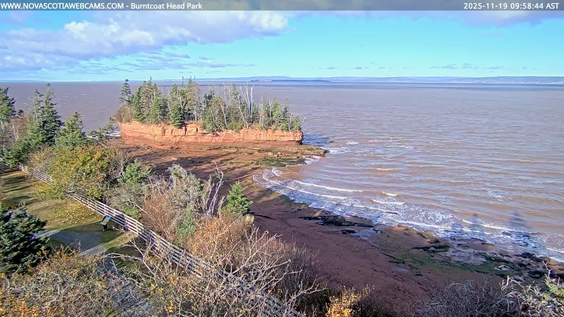 A very dark outdoor nighttime scene reveals a few faint, distant lights scattered across the upper horizon under clear conditions.