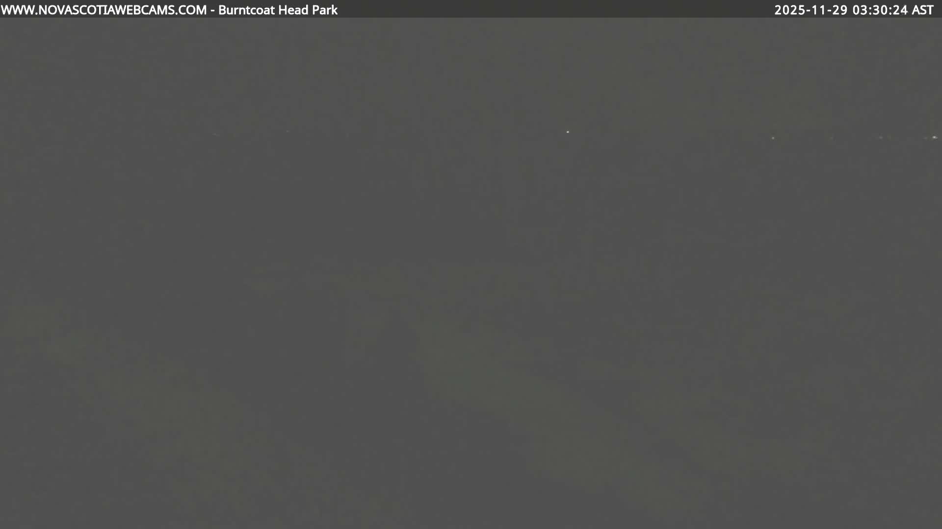 The image displays an extremely dark, almost black outdoor scene at night, with only a few minute, faint white specks visible, indicating extremely low light conditions likely from a moonless clear night or heavy overcast.