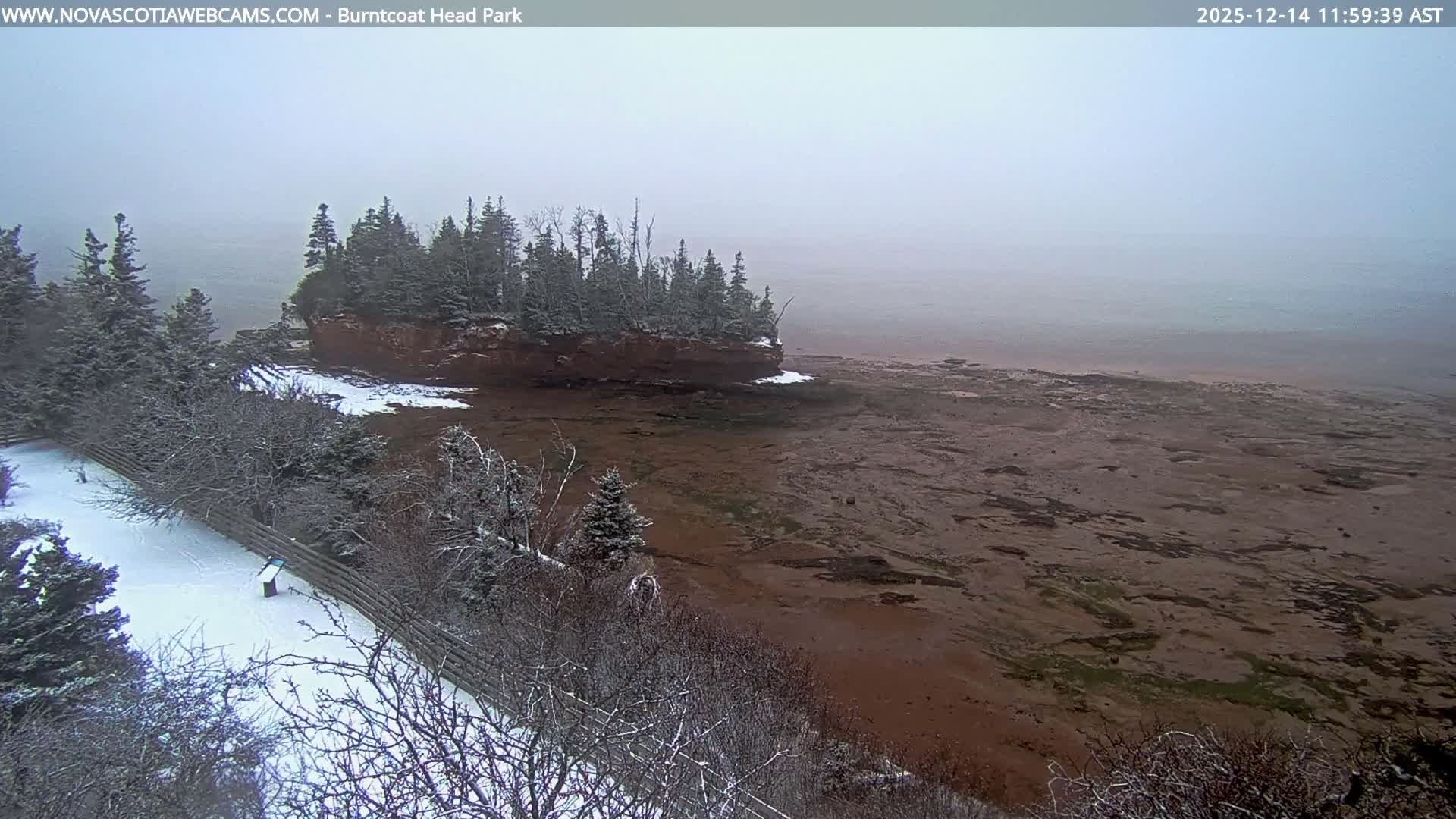 The image displays a very dark and indistinct outdoor scene at night, suggesting heavy overcast conditions or fog, with a few extremely faint distant lights barely visible in the upper right.