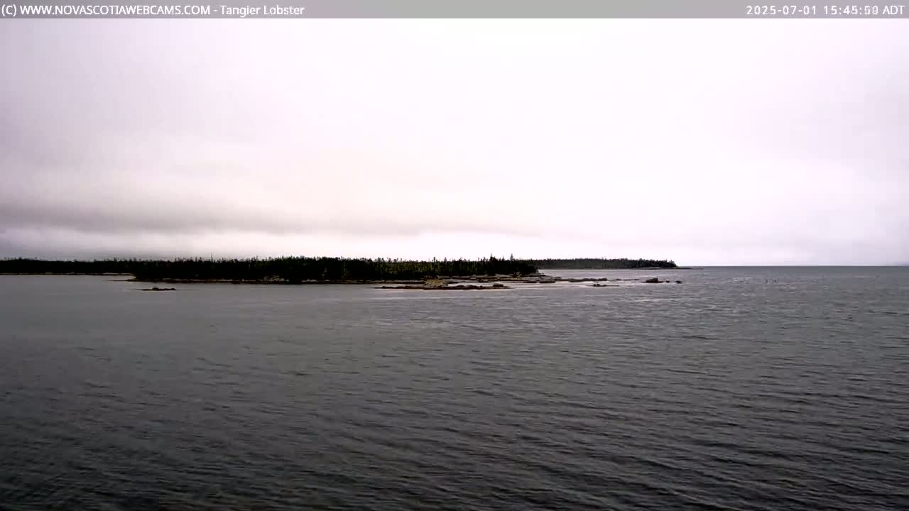 Tangier Coast, Hog Island  & Mason Cove Live Cam - Tangier, Halifax Regional Municipality, Nova Scotia, Canada