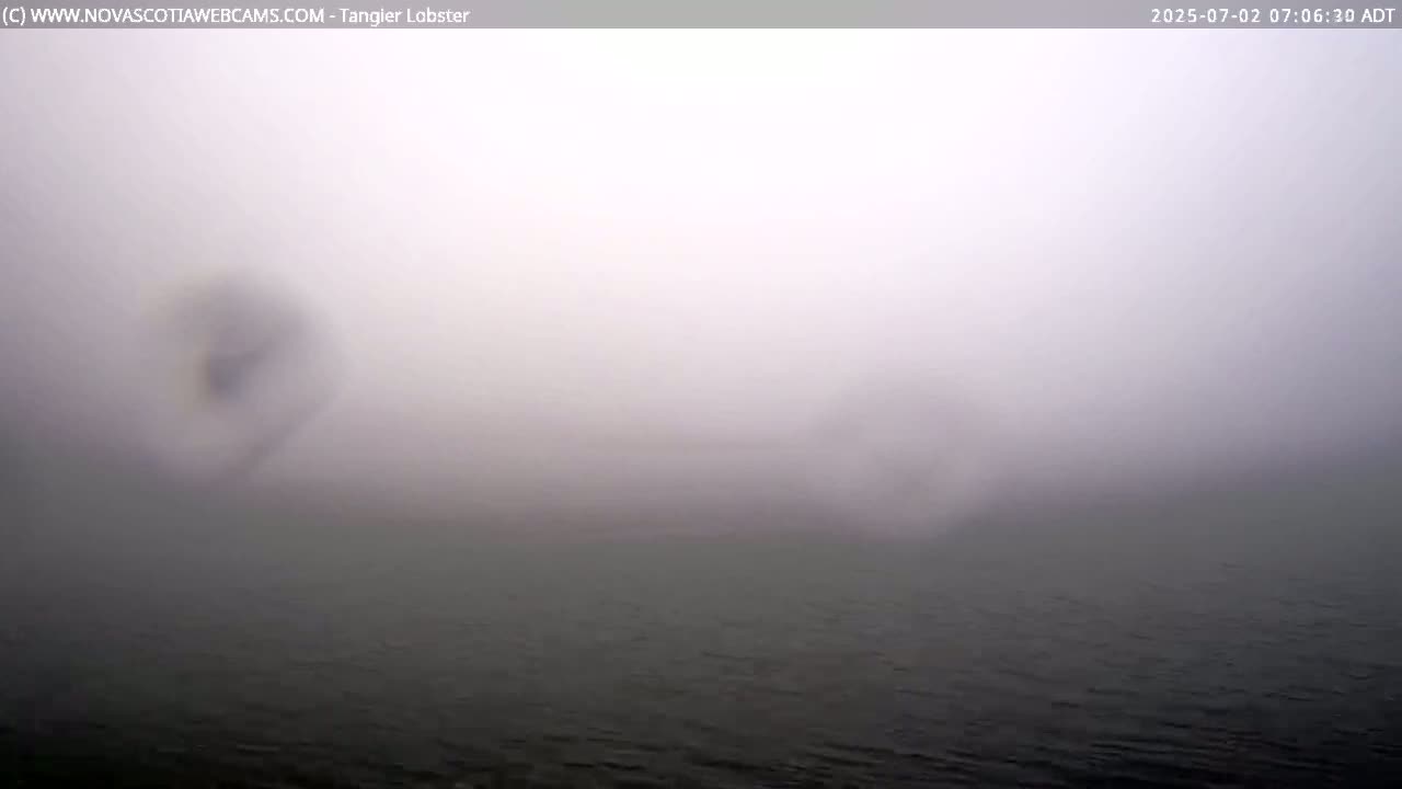 Tangier Coast, Hog Island  & Mason Cove Live Cam - Tangier, Halifax Regional Municipality, Nova Scotia, Canada