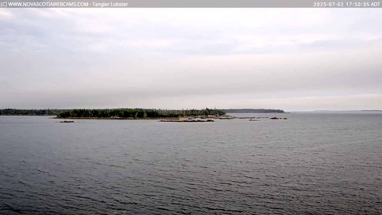 Tangier Coast, Hog Island  & Mason Cove Live Cam - Tangier, Halifax Regional Municipality, Nova Scotia, Canada