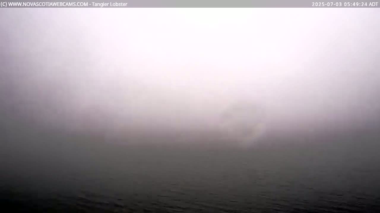 Tangier Coast, Hog Island  & Mason Cove Live Cam - Tangier, Halifax Regional Municipality, Nova Scotia, Canada