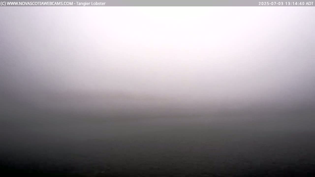Tangier Coast, Hog Island  & Mason Cove Live Cam - Tangier, Halifax Regional Municipality, Nova Scotia, Canada