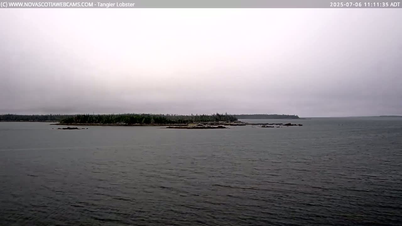 Tangier Coast, Hog Island  & Mason Cove Live Cam - Tangier, Halifax Regional Municipality, Nova Scotia, Canada