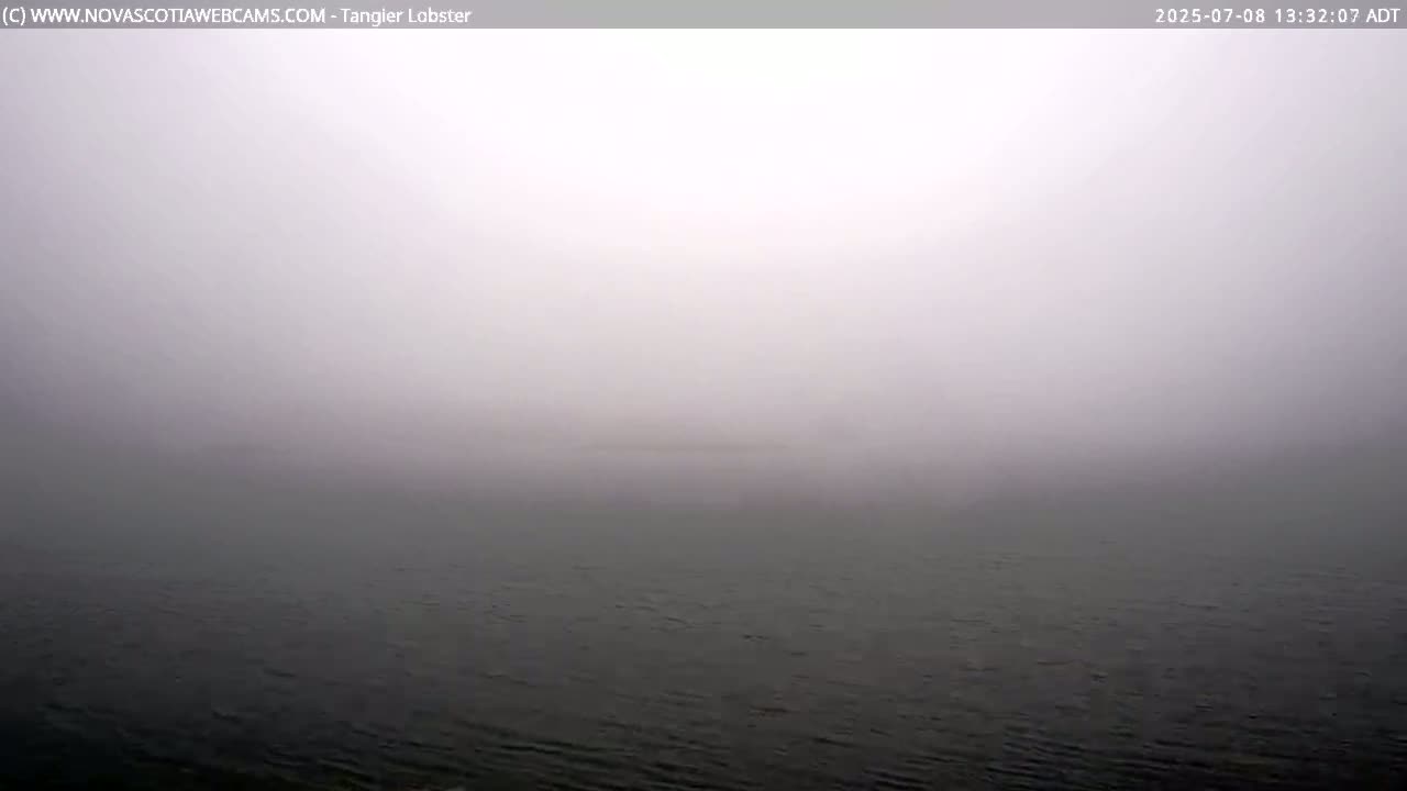 Tangier Coast, Hog Island  & Mason Cove Live Cam - Tangier, Halifax Regional Municipality, Nova Scotia, Canada