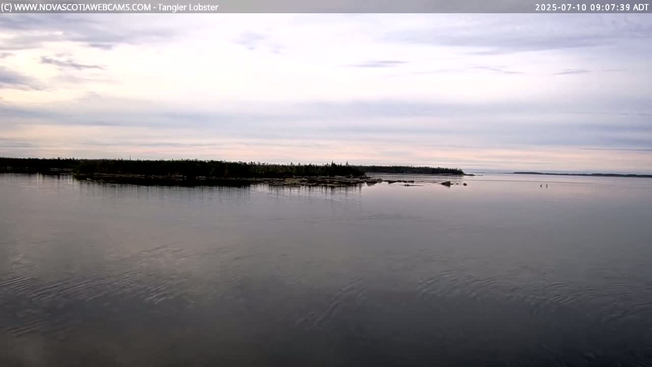 Tangier Coast, Hog Island  & Mason Cove Live Cam - Tangier, Halifax Regional Municipality, Nova Scotia, Canada