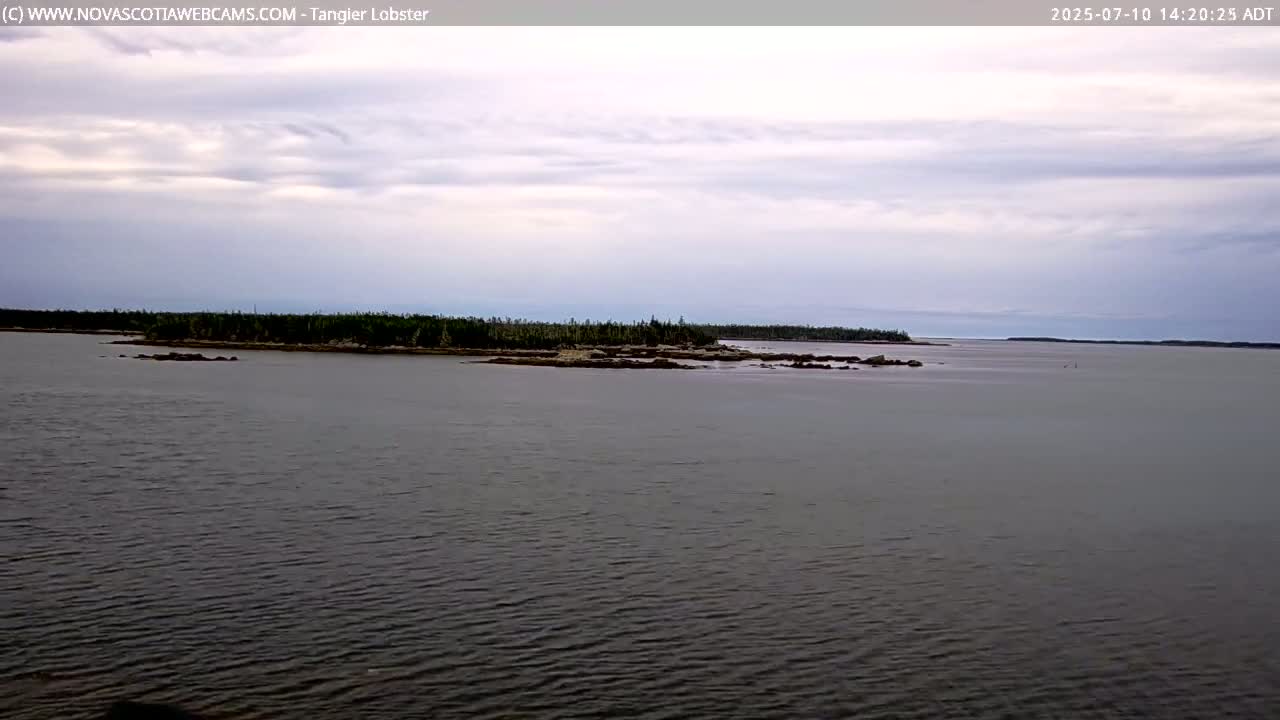 Tangier Coast, Hog Island  & Mason Cove Live Cam - Tangier, Halifax Regional Municipality, Nova Scotia, Canada