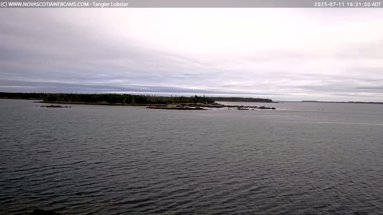 Tangier Coast, Hog Island  & Mason Cove Live Cam - Tangier, Halifax Regional Municipality, Nova Scotia, Canada